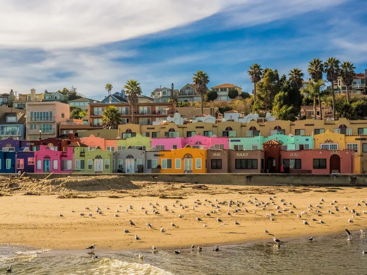 Colors of Santa Cruz