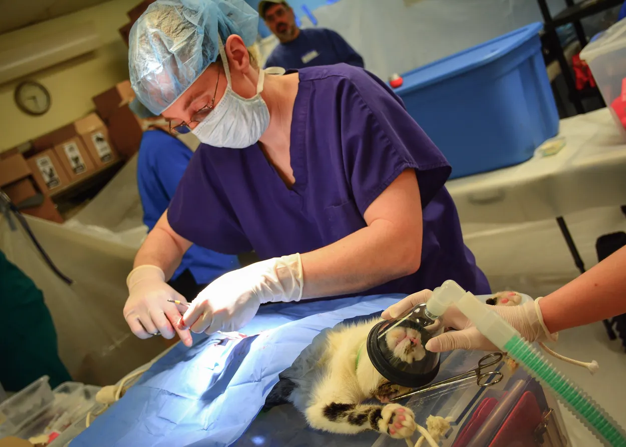 Entry 46806