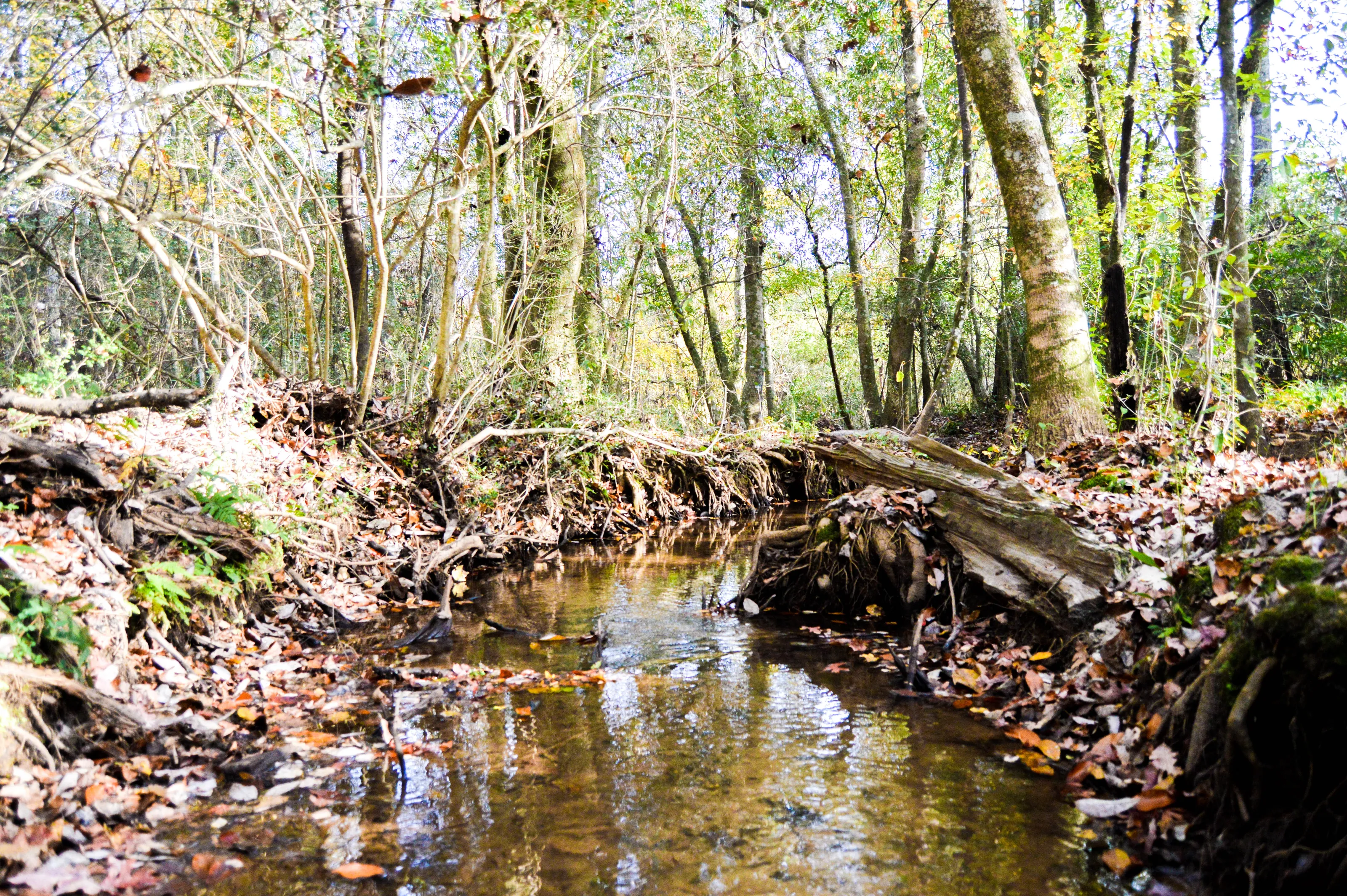 Farm Creek