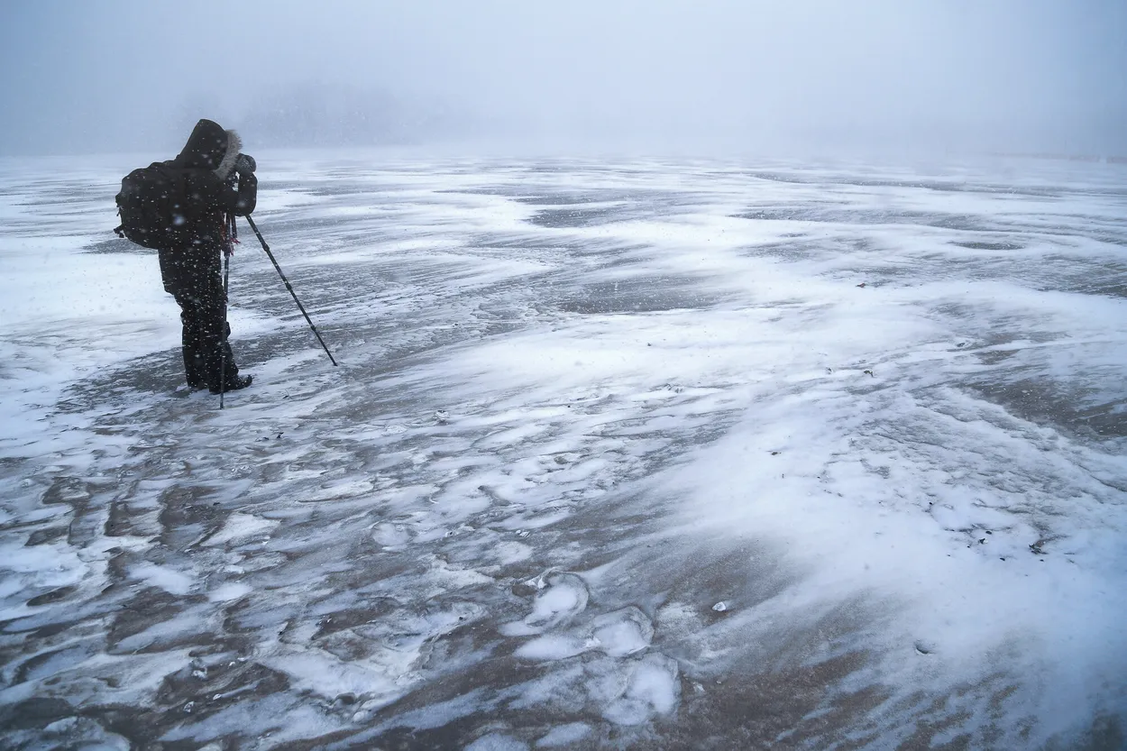 Entry 26606746