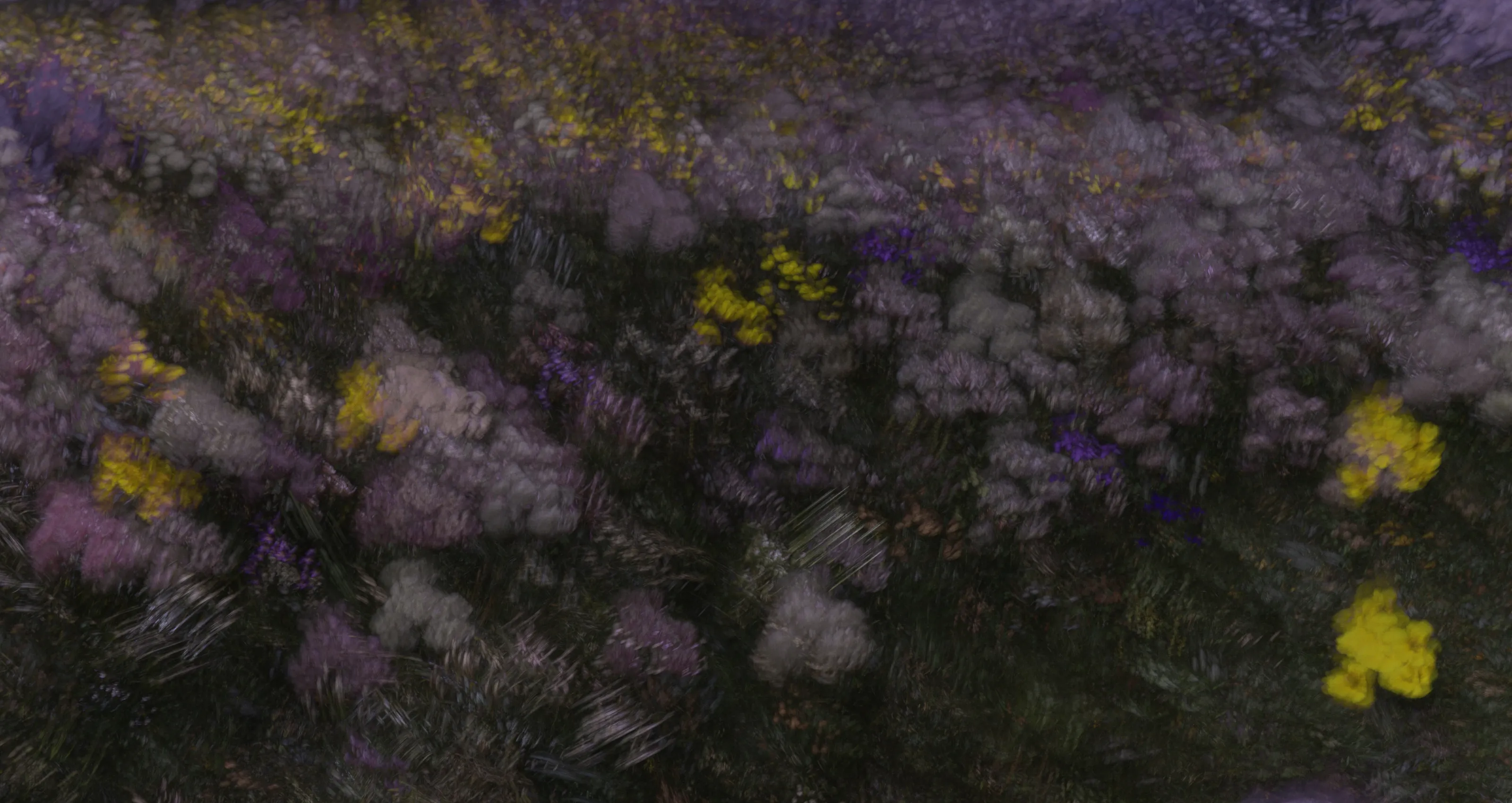 Blooming