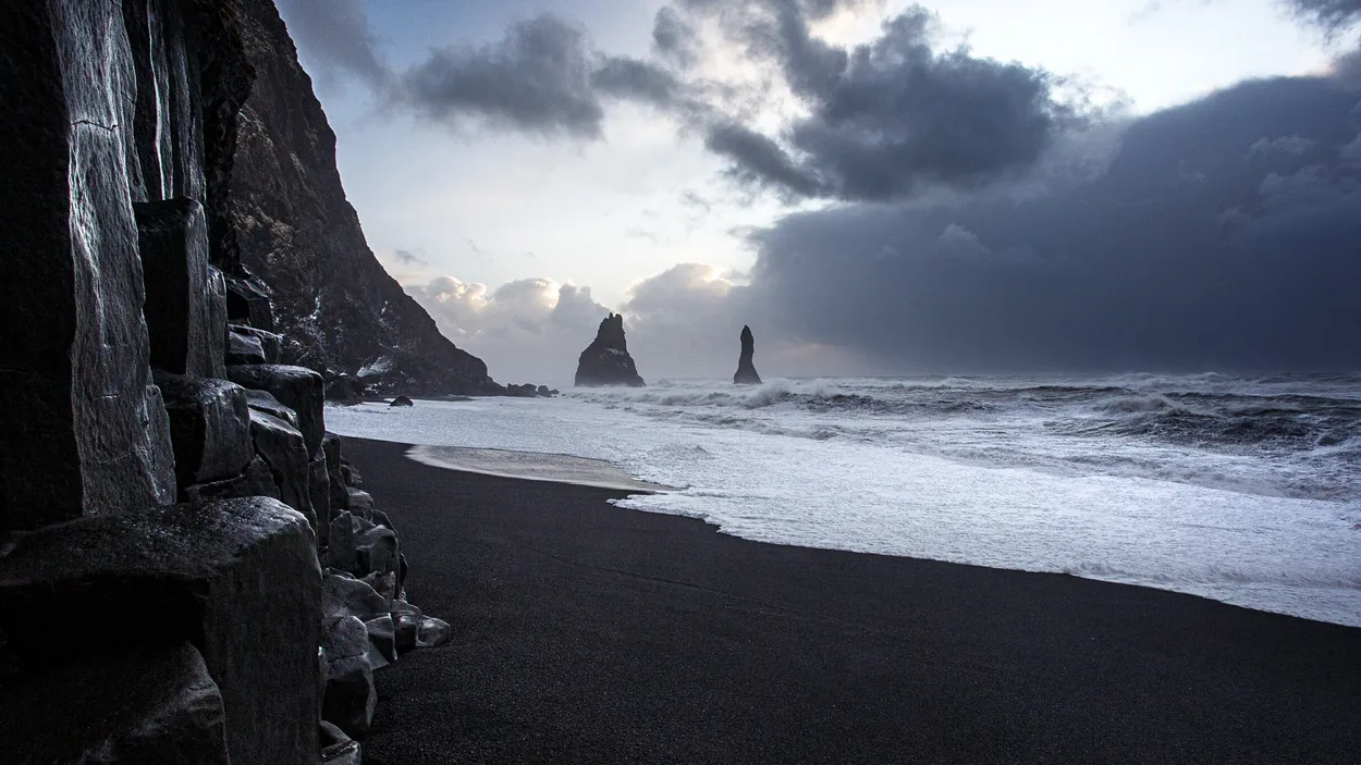 Entry 8151301