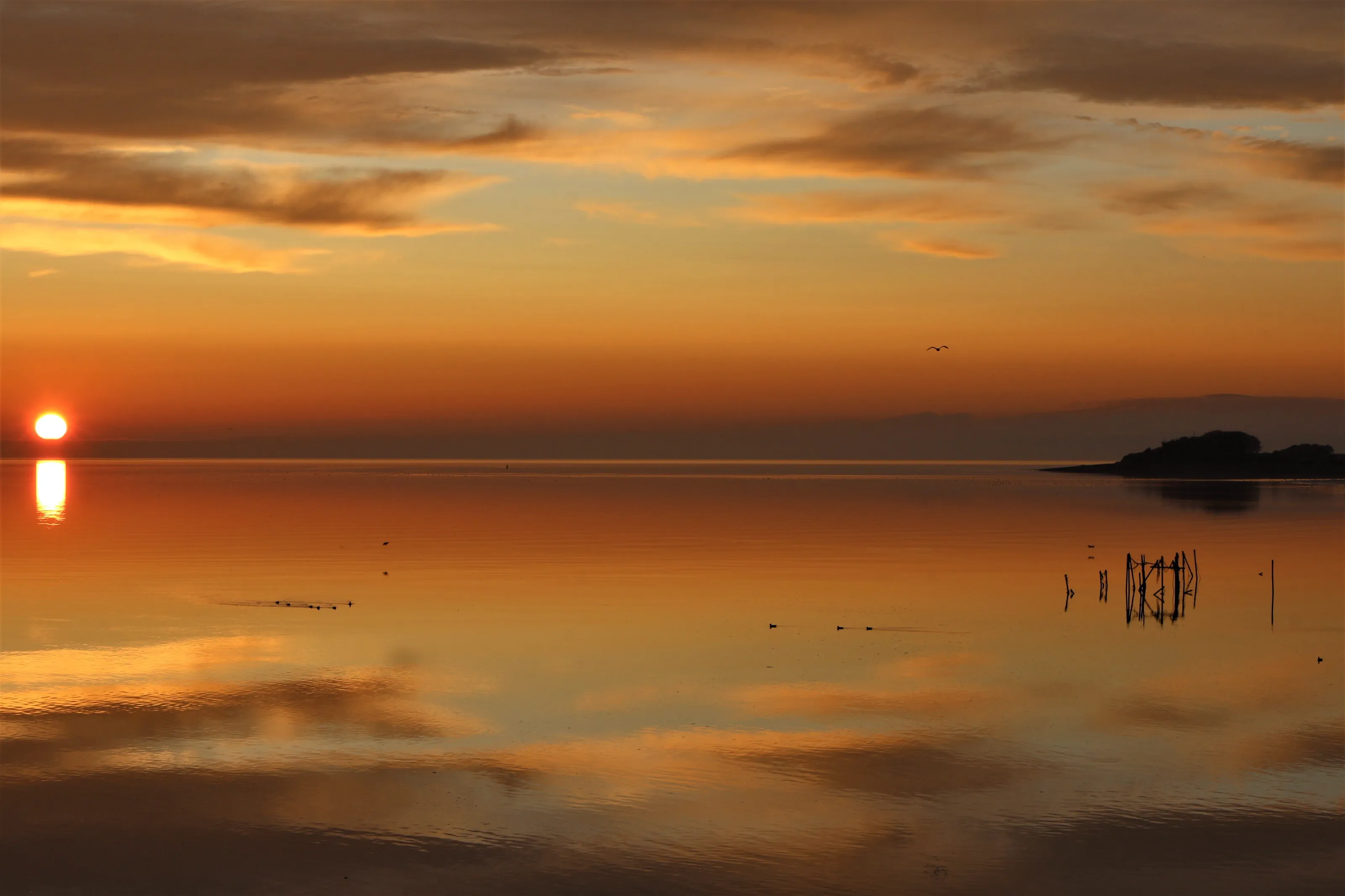 The Solway Firth at Golden Hour