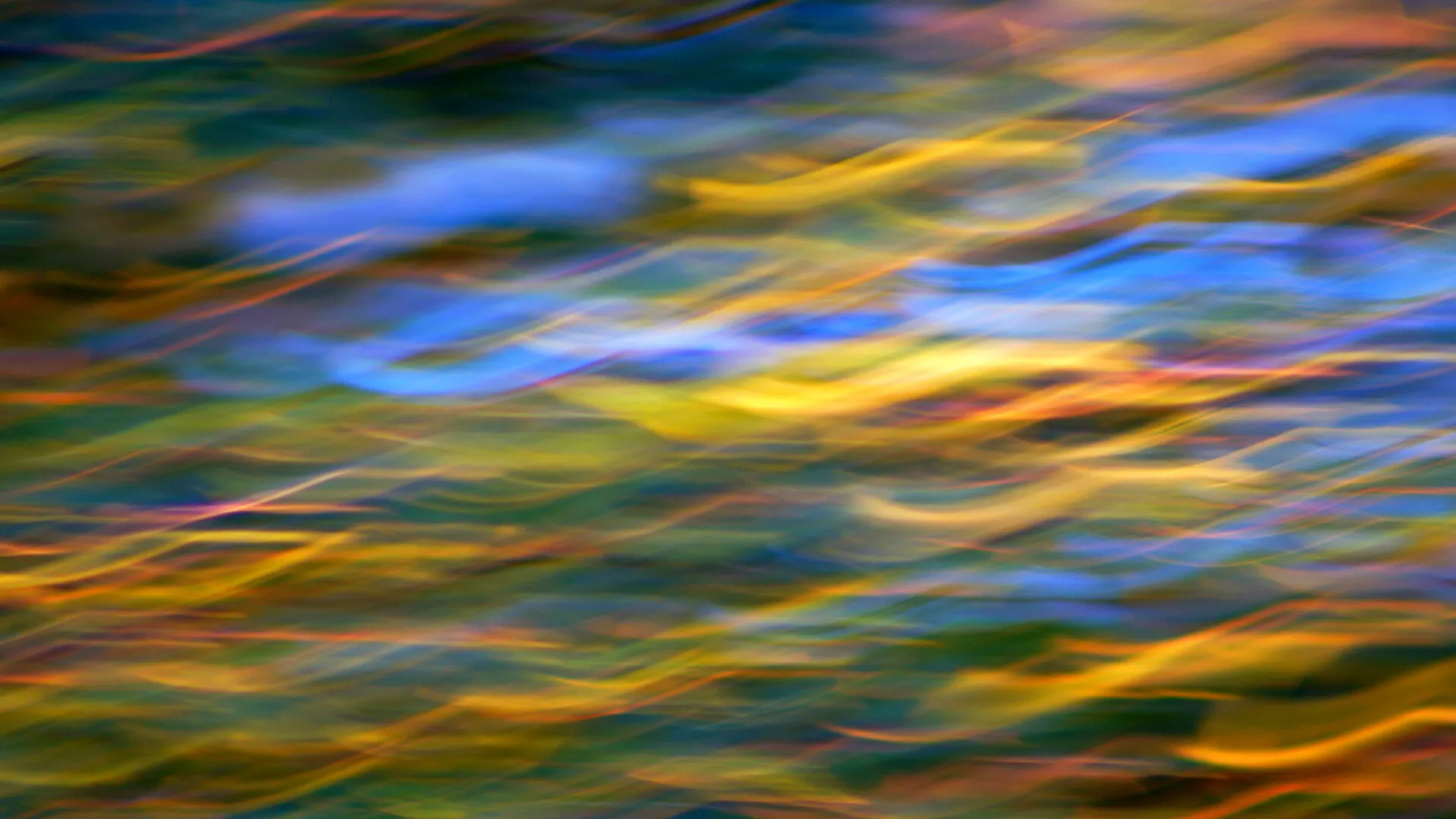 Autumn Leaves in Fluid Motion