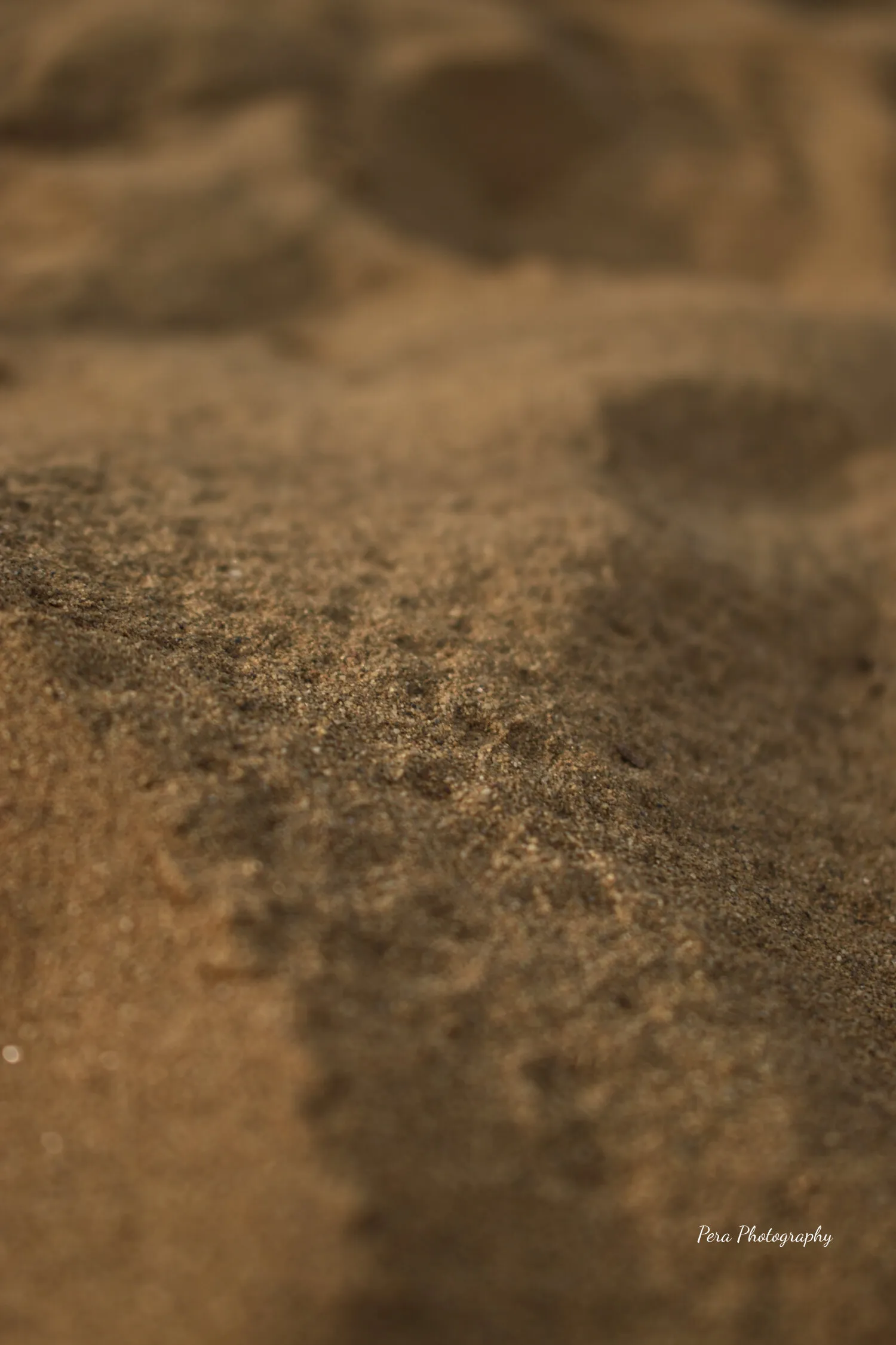 Hidden desert