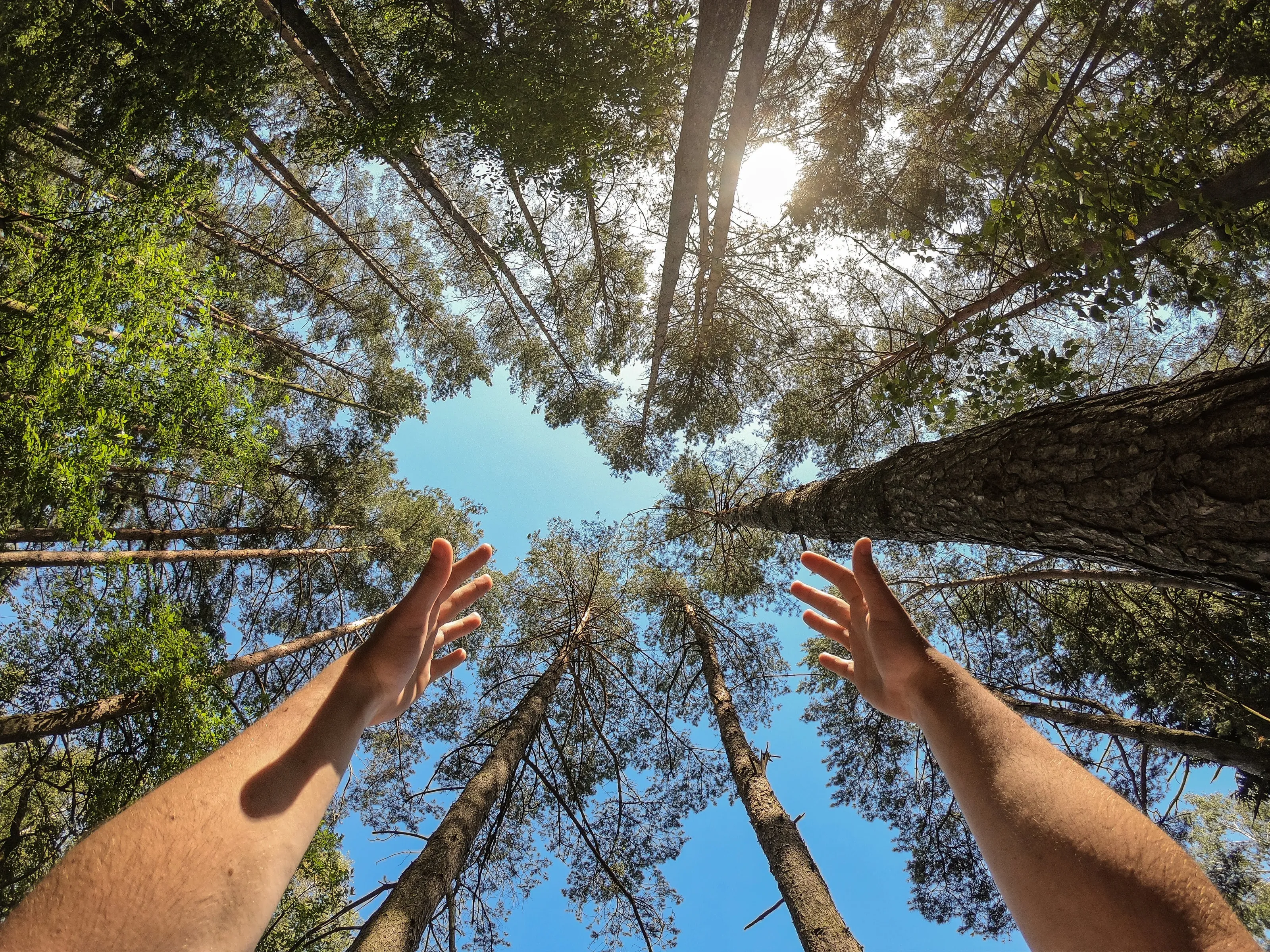 POV of SKY