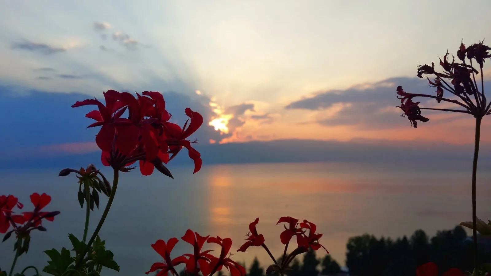 Golden hour in Ohrid