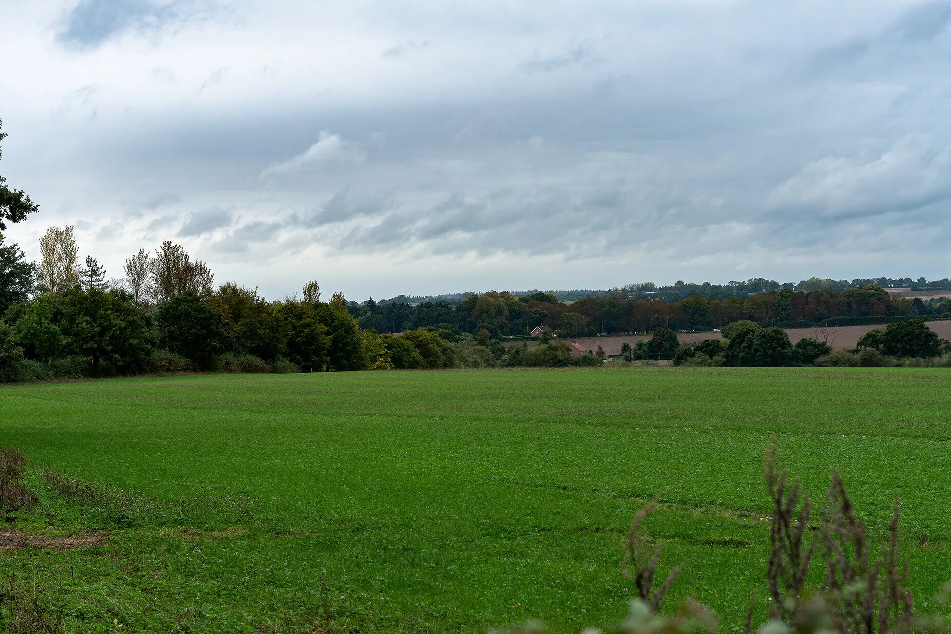 View from Glebe Farm