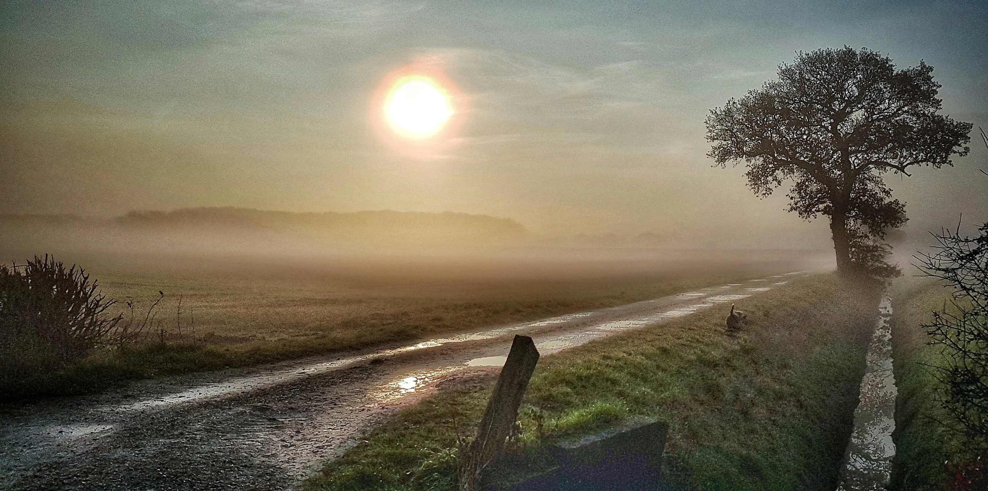 Morning mist