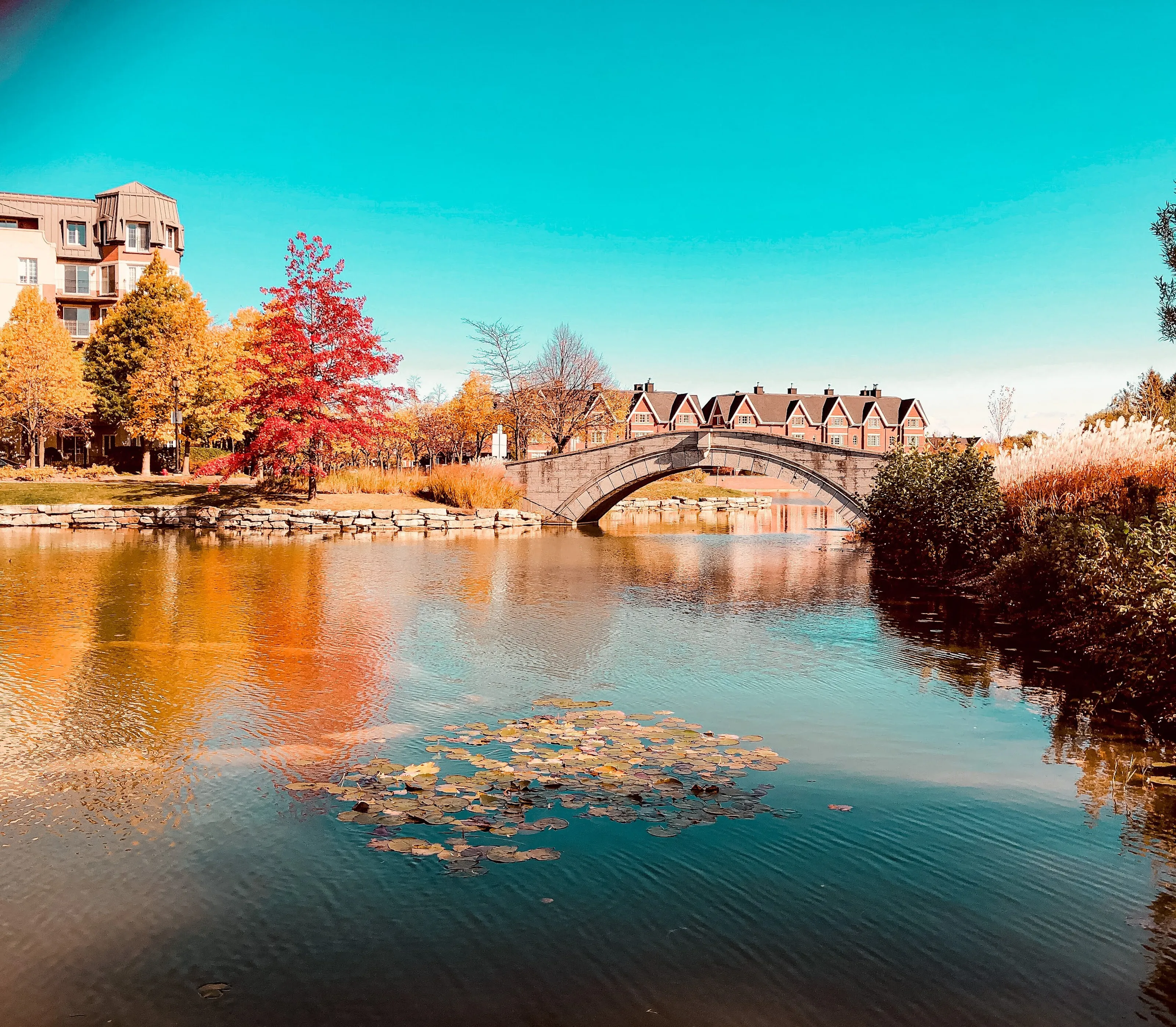 Autumn vibes