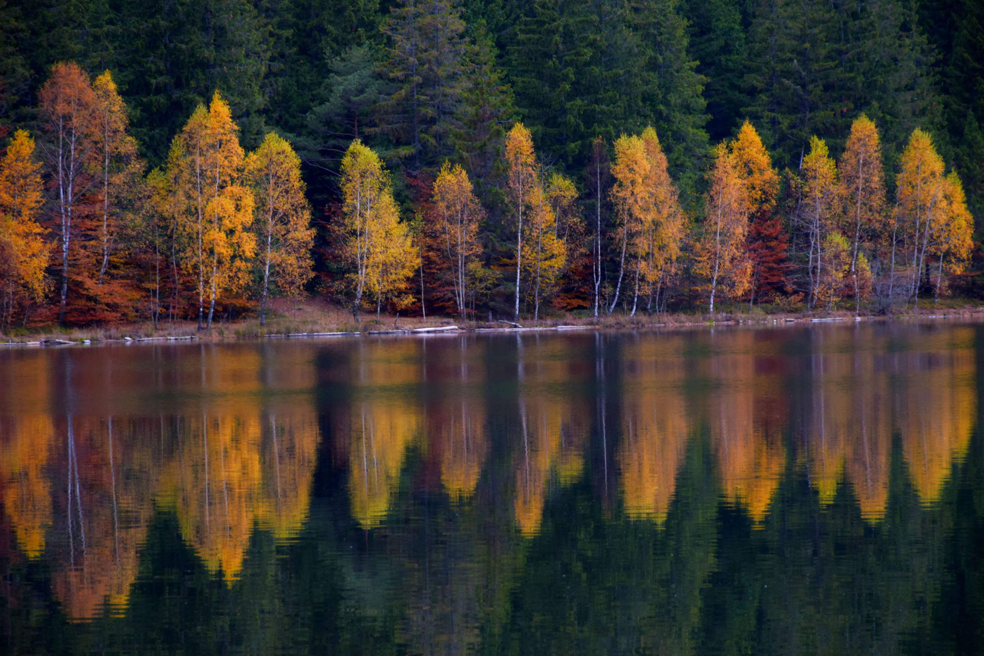 Autumn mirror.