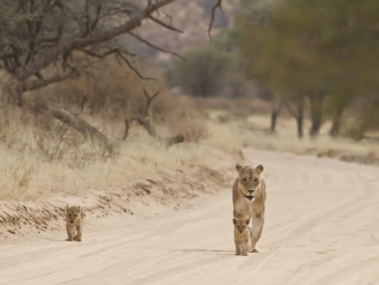 Entry 8216952
