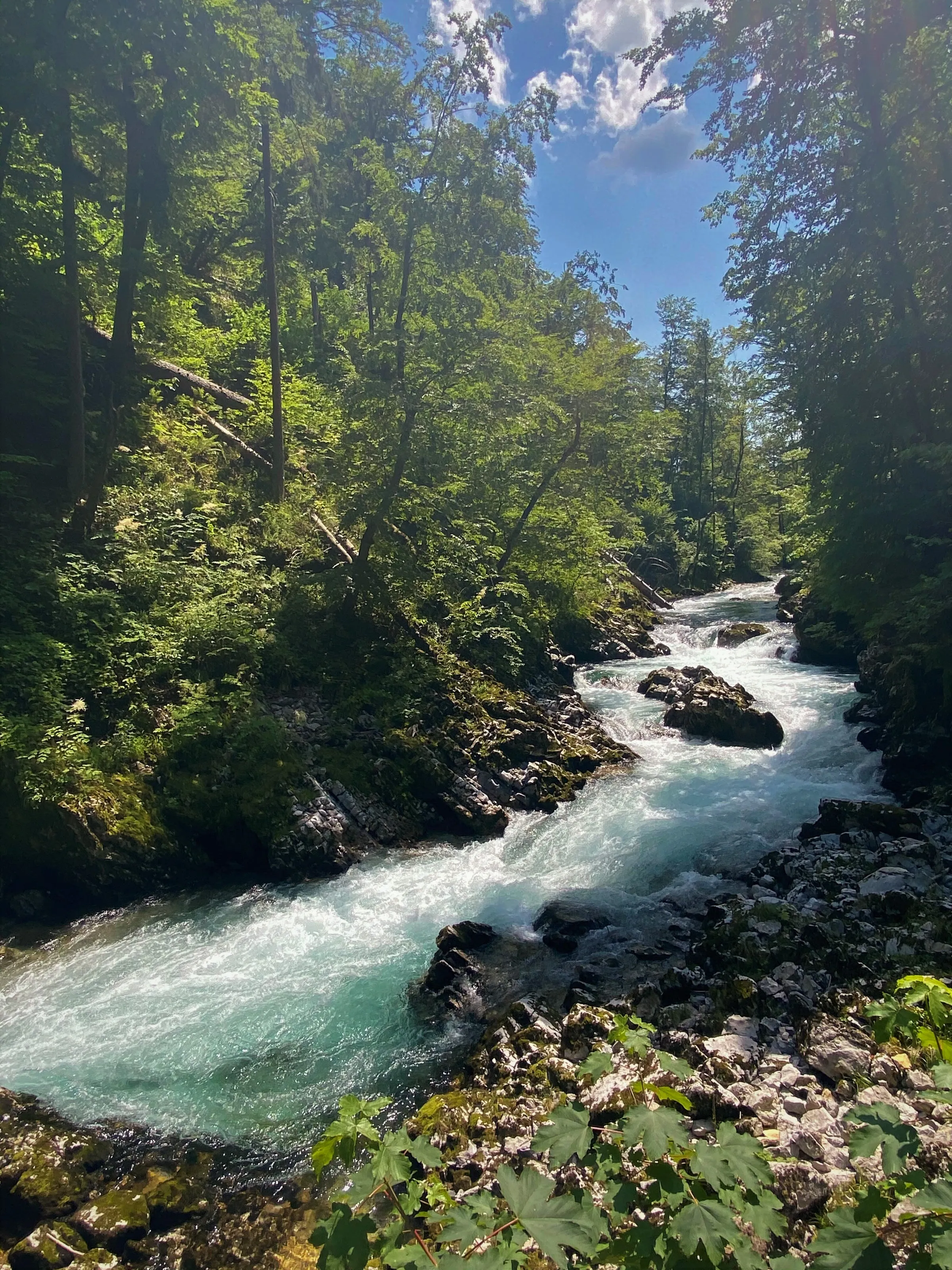 The stream