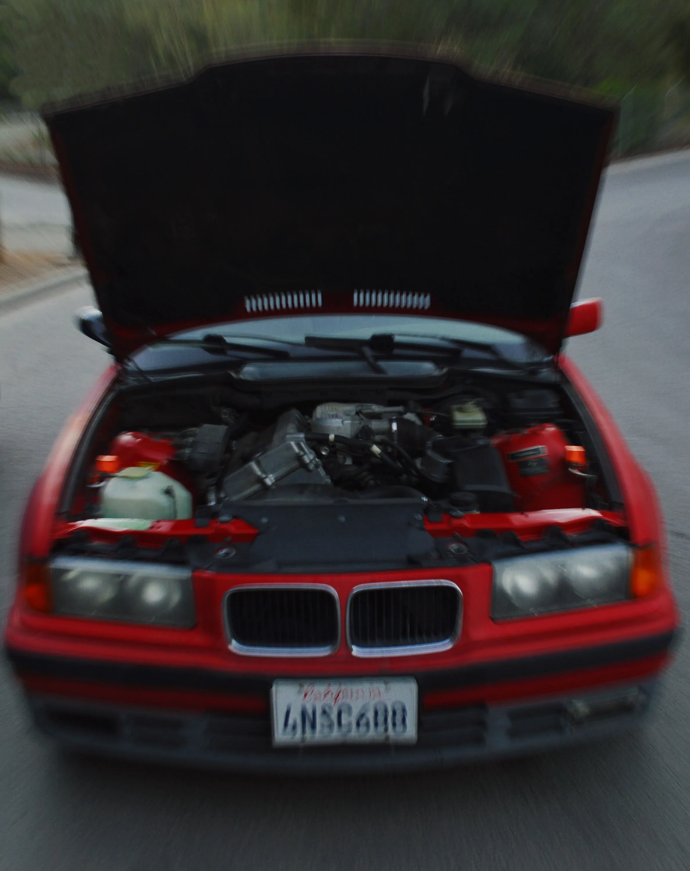 Banner image