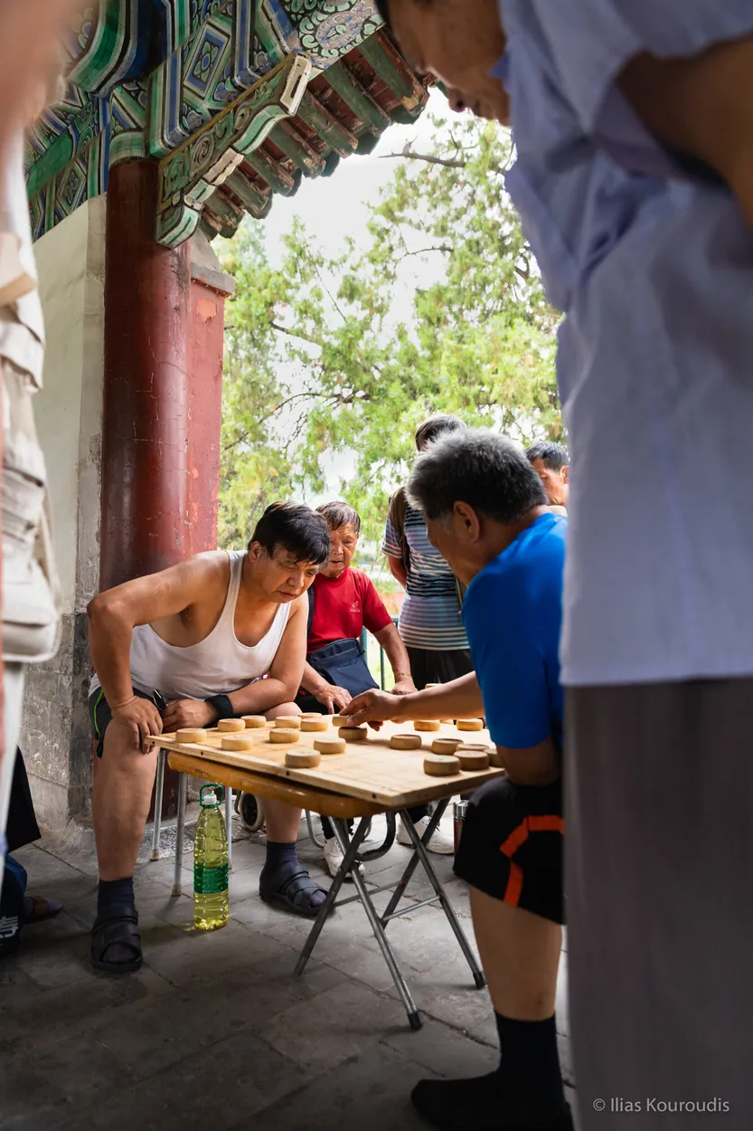 Entry 11416882