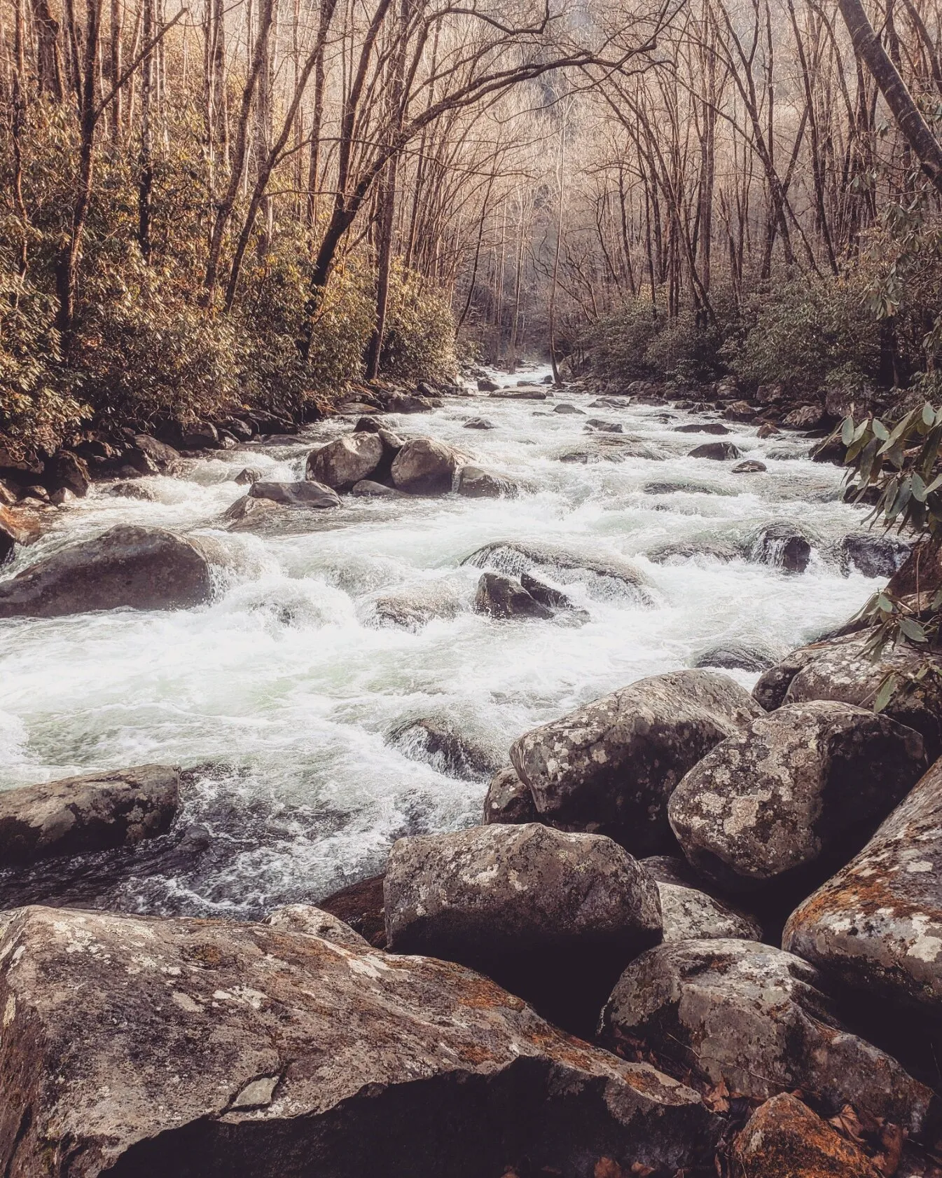 NC trails