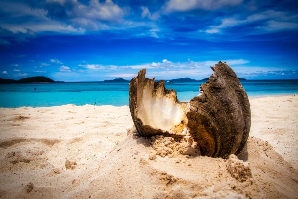 Entry 13758671