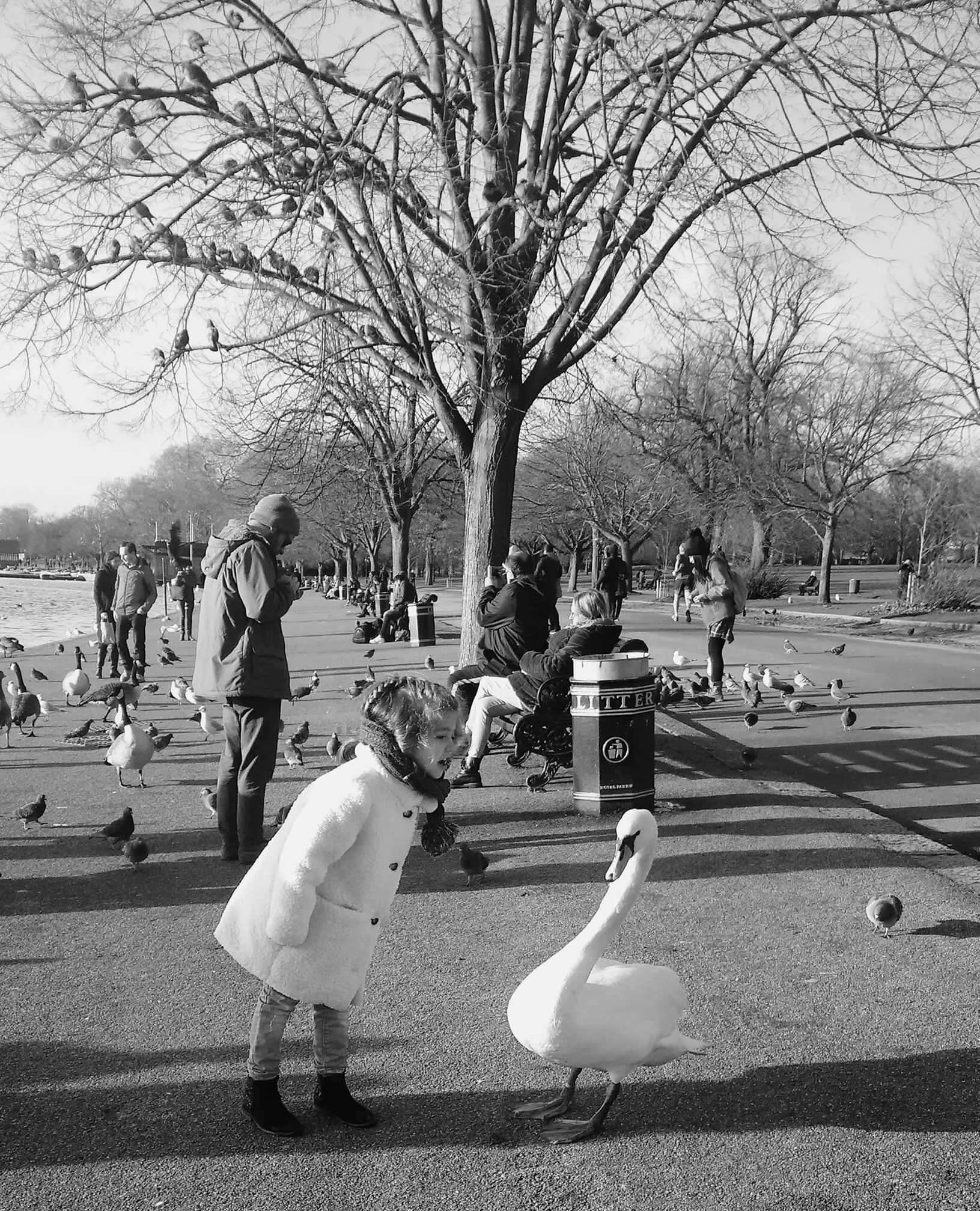 Girl and swan