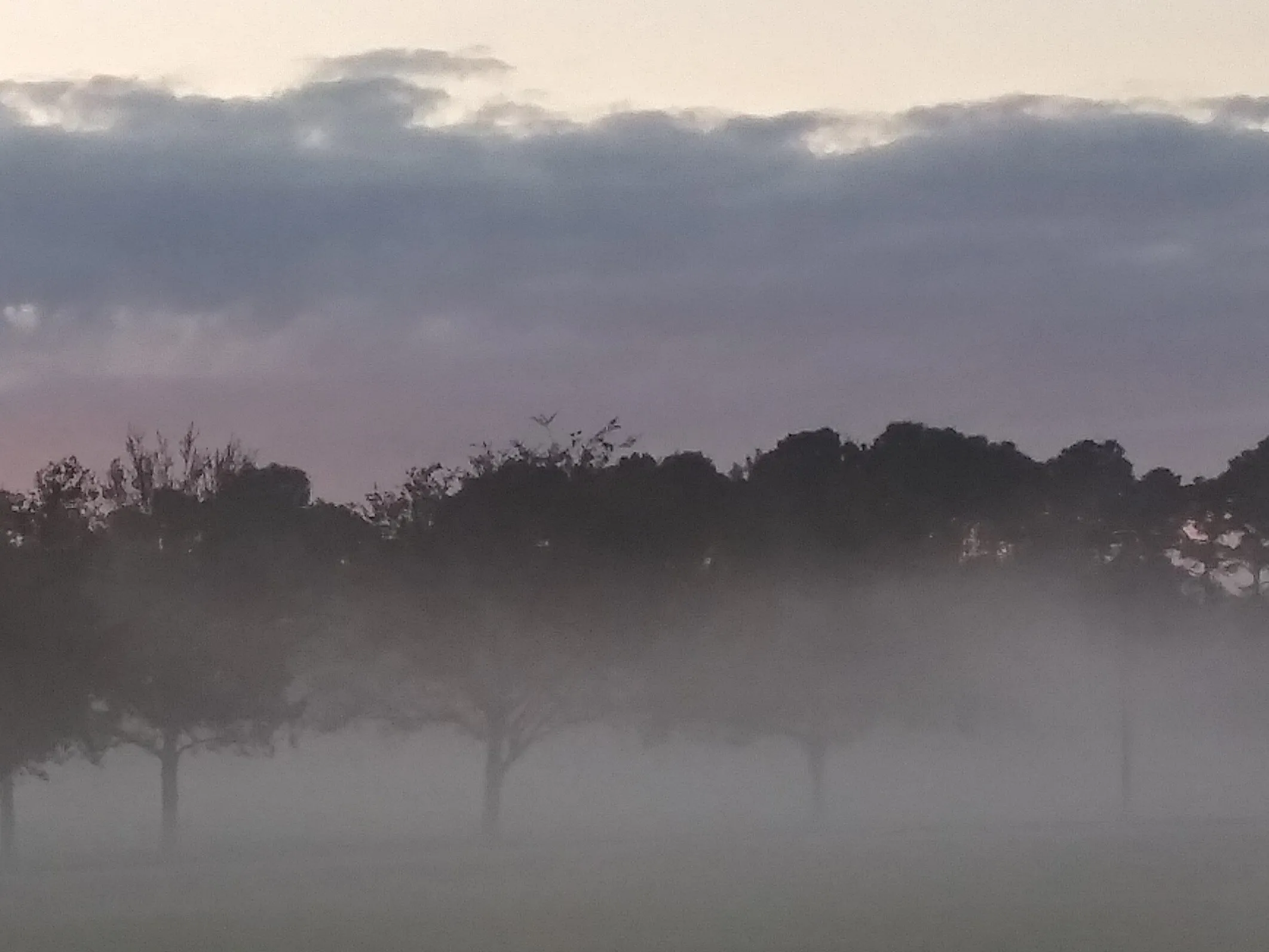 Misty Morning