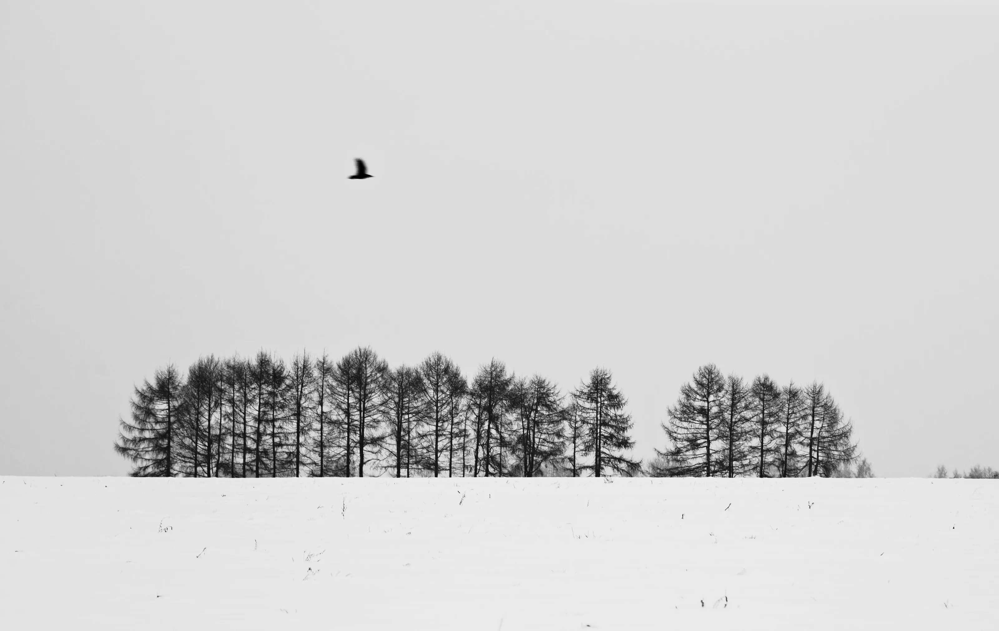 loneliness