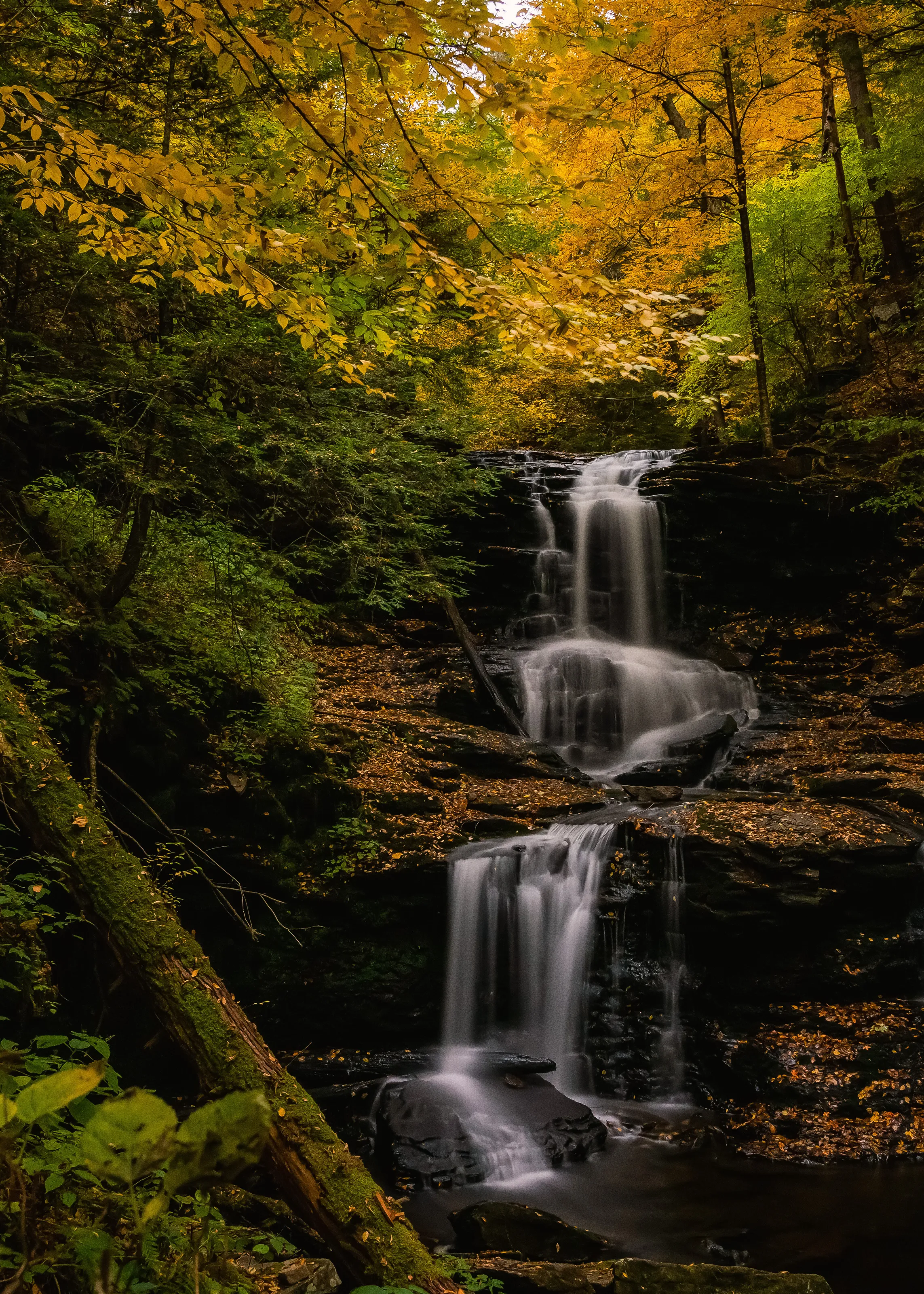 A Beautiful Waterfall in Autumn