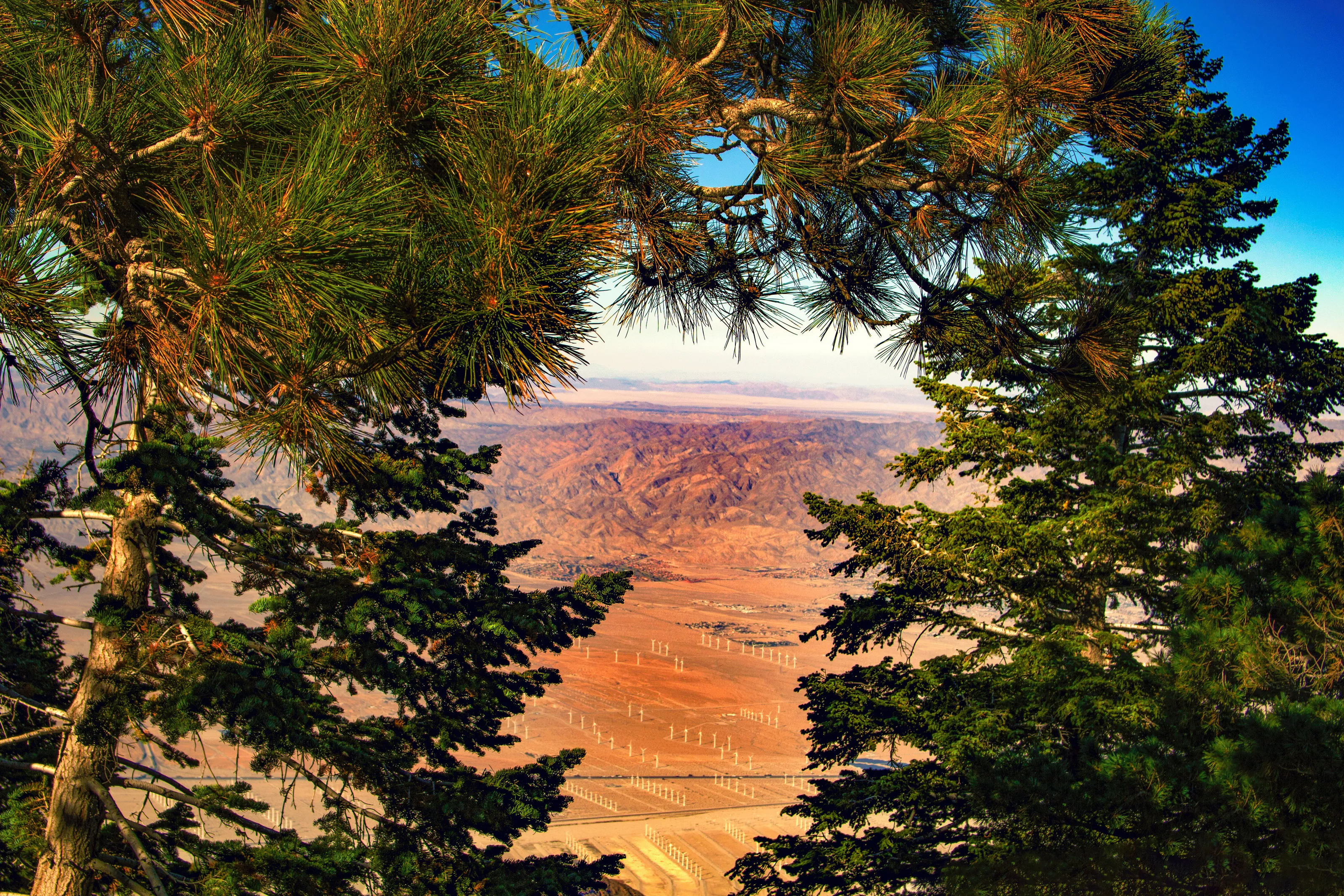 Hidden Valley