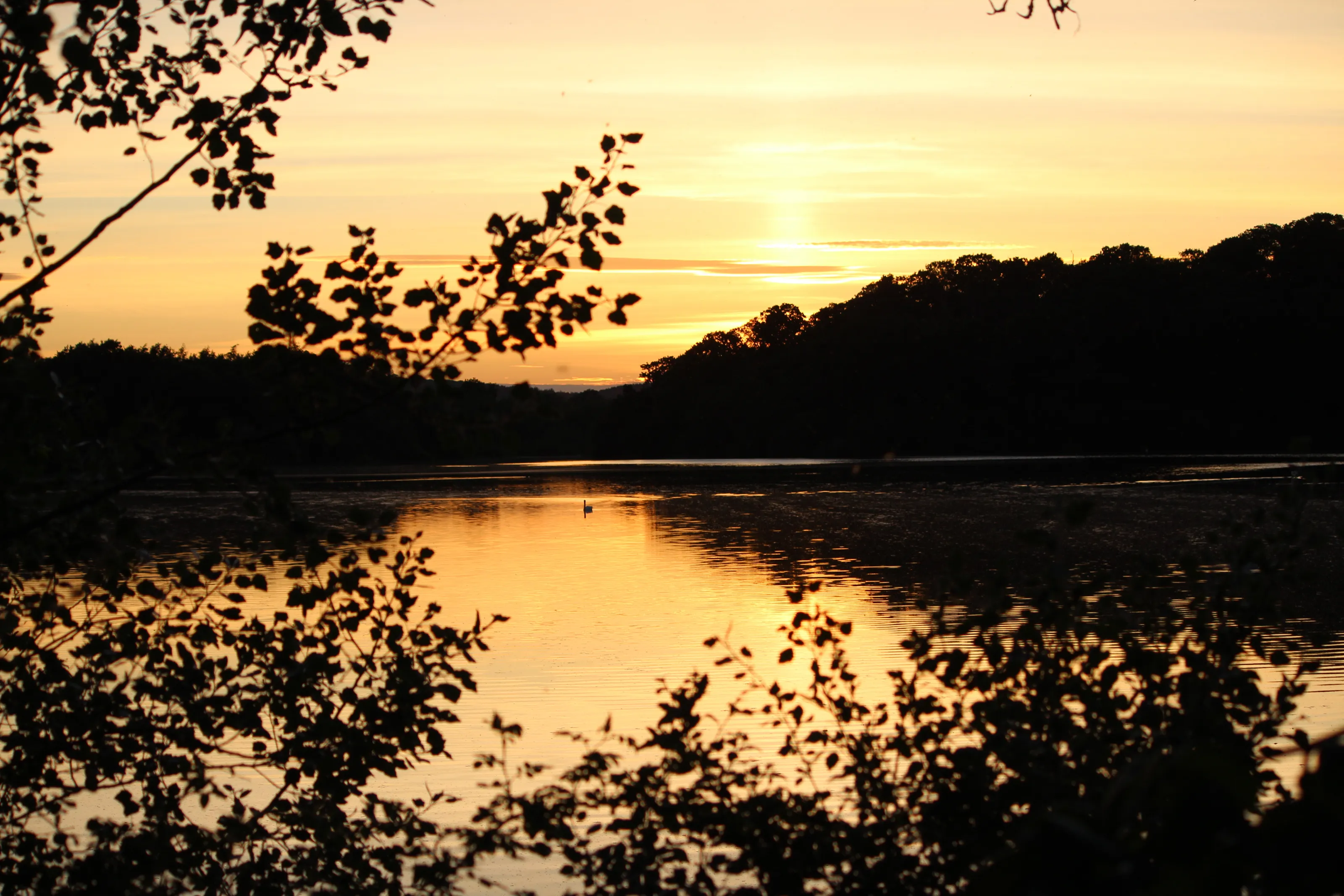 Sunset on the lake