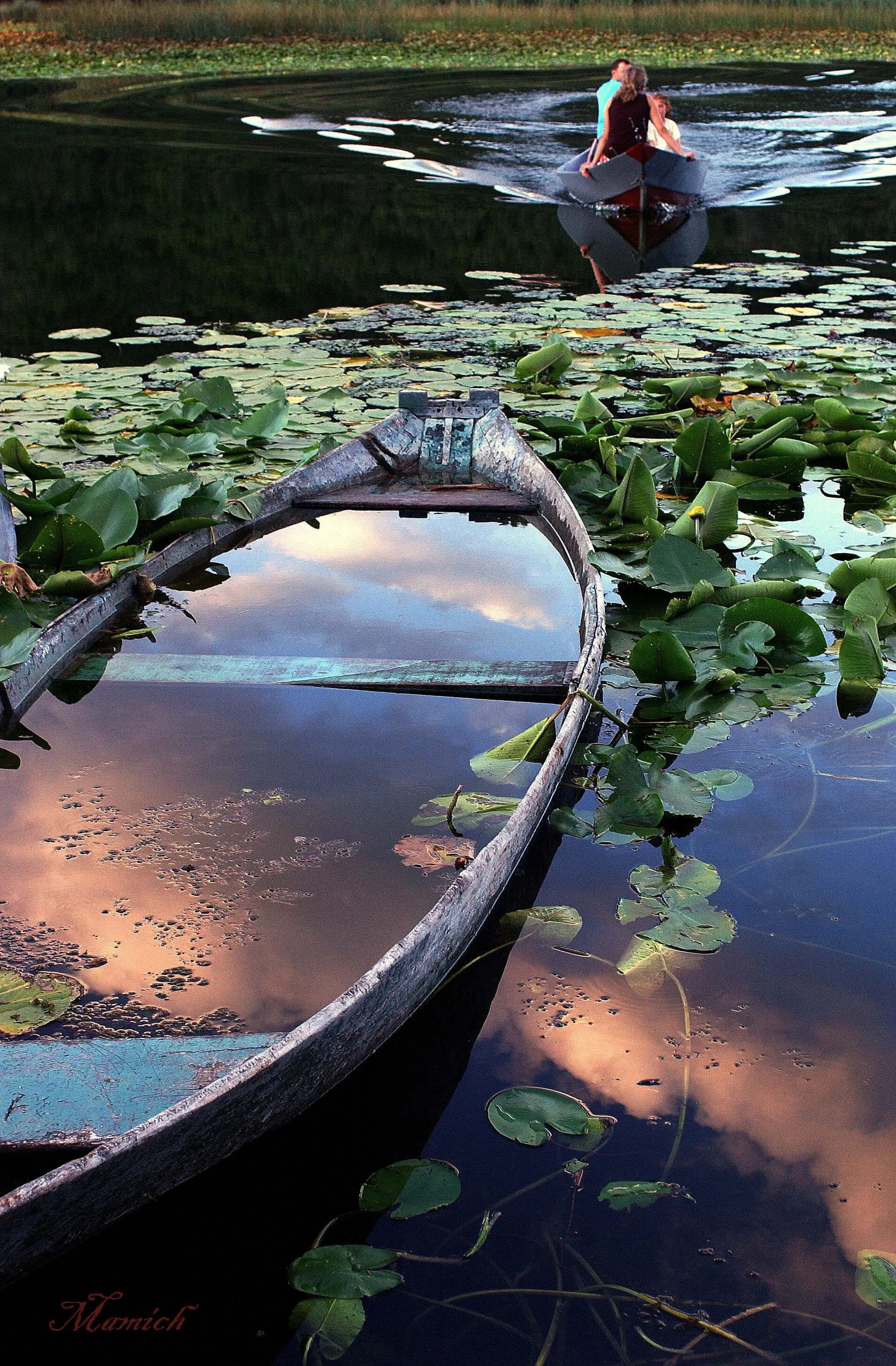 A Scadar lake's afternoon