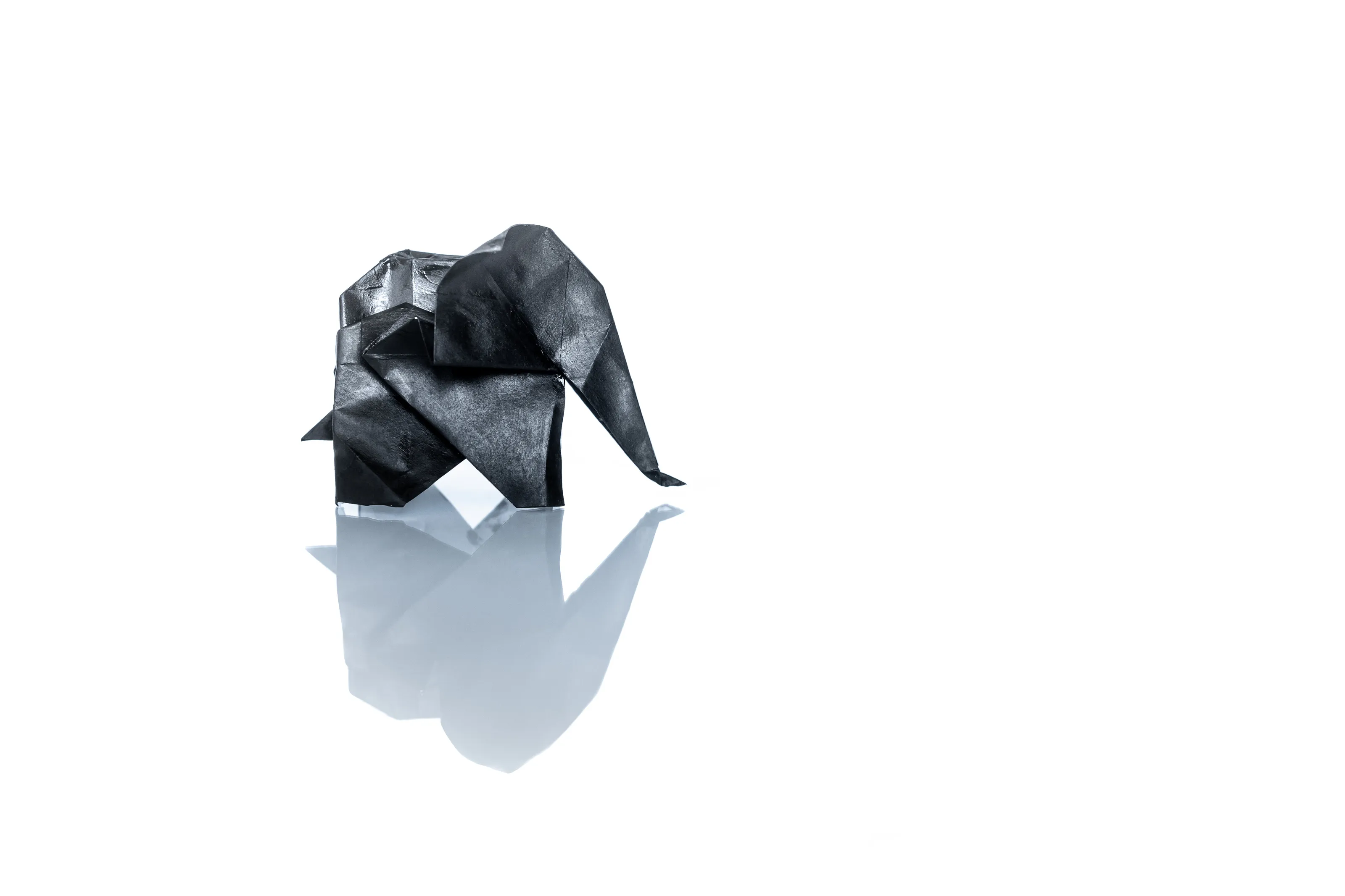 Black on white