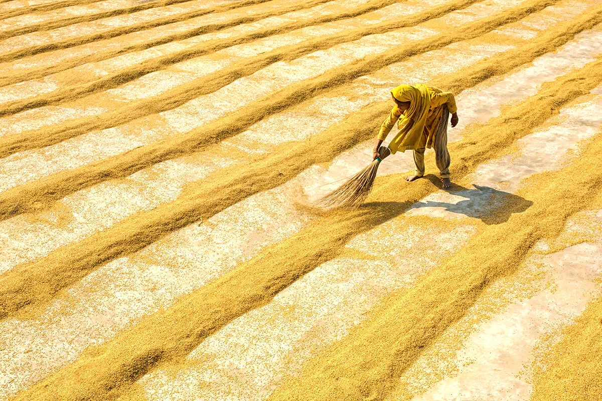 Rice Mills Worker