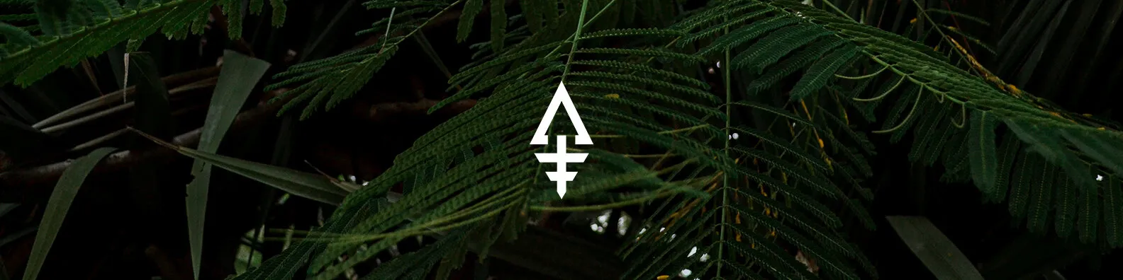 Banner image
