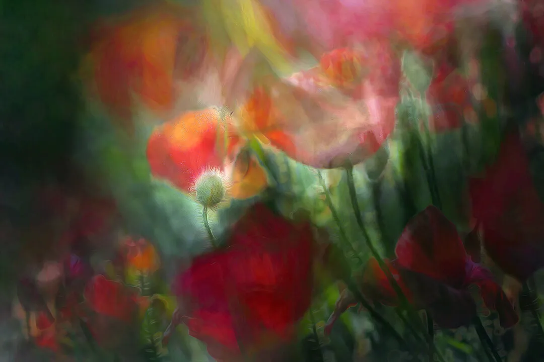 Natural floral beauty