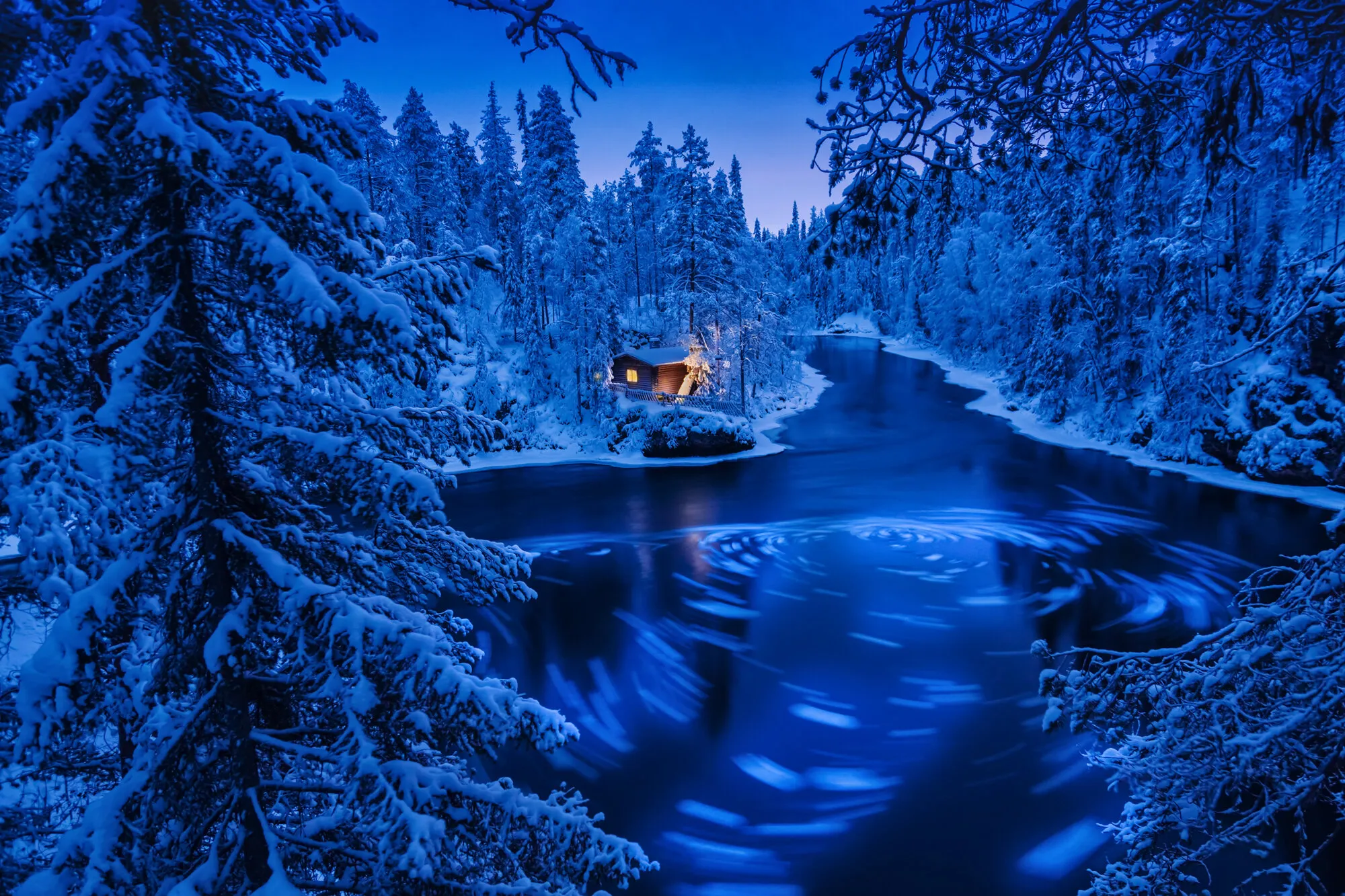 Mysterious blue night on the shore of forest.