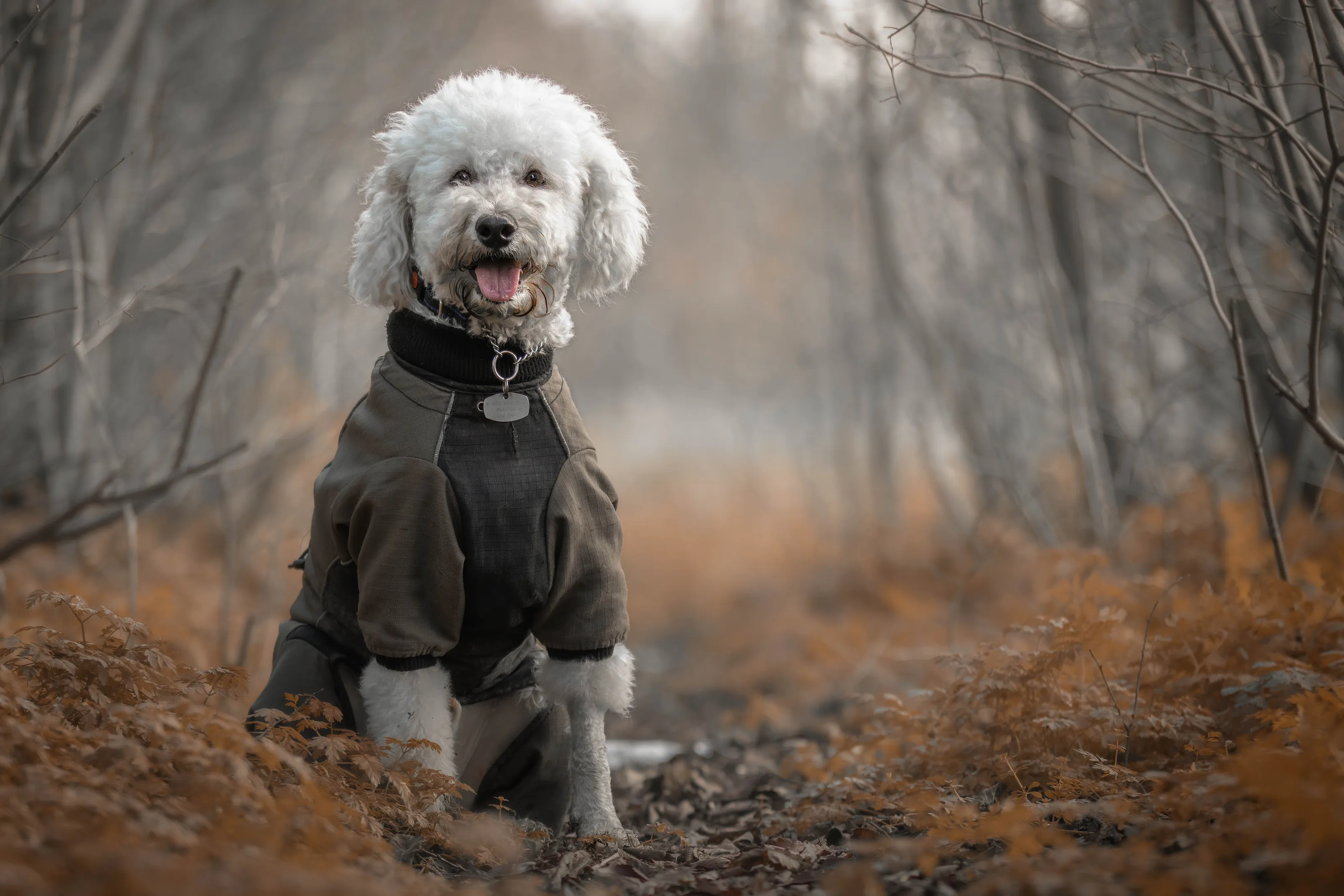 First walk