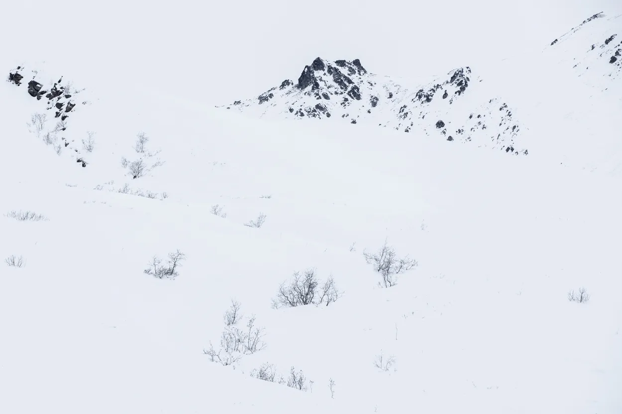 Entry 8400435
