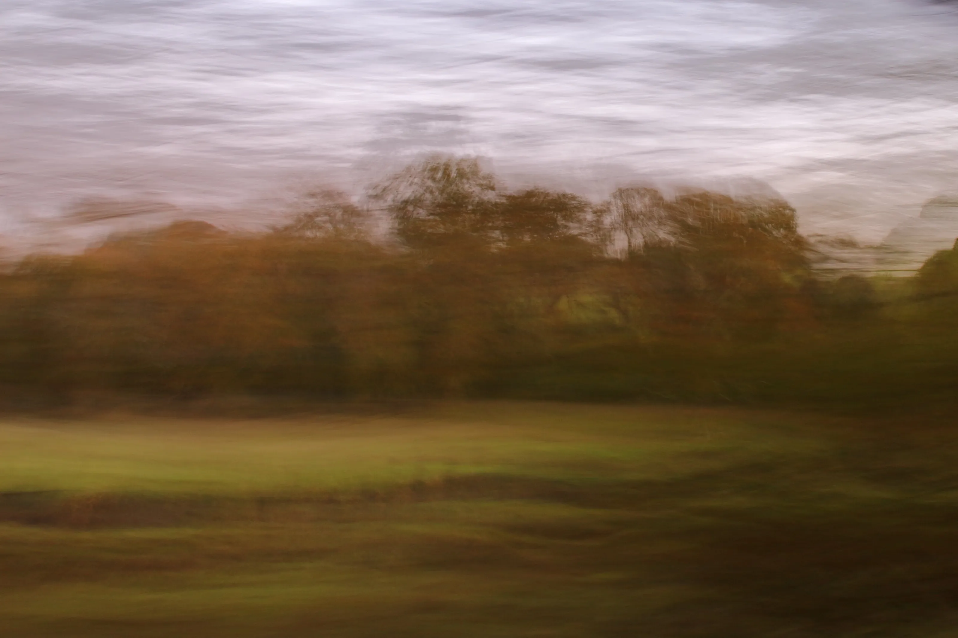 Autumn brushstrokes