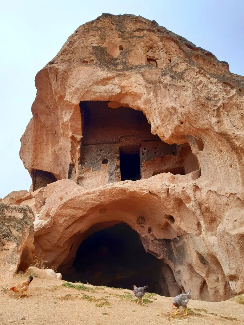 Entry 8301177