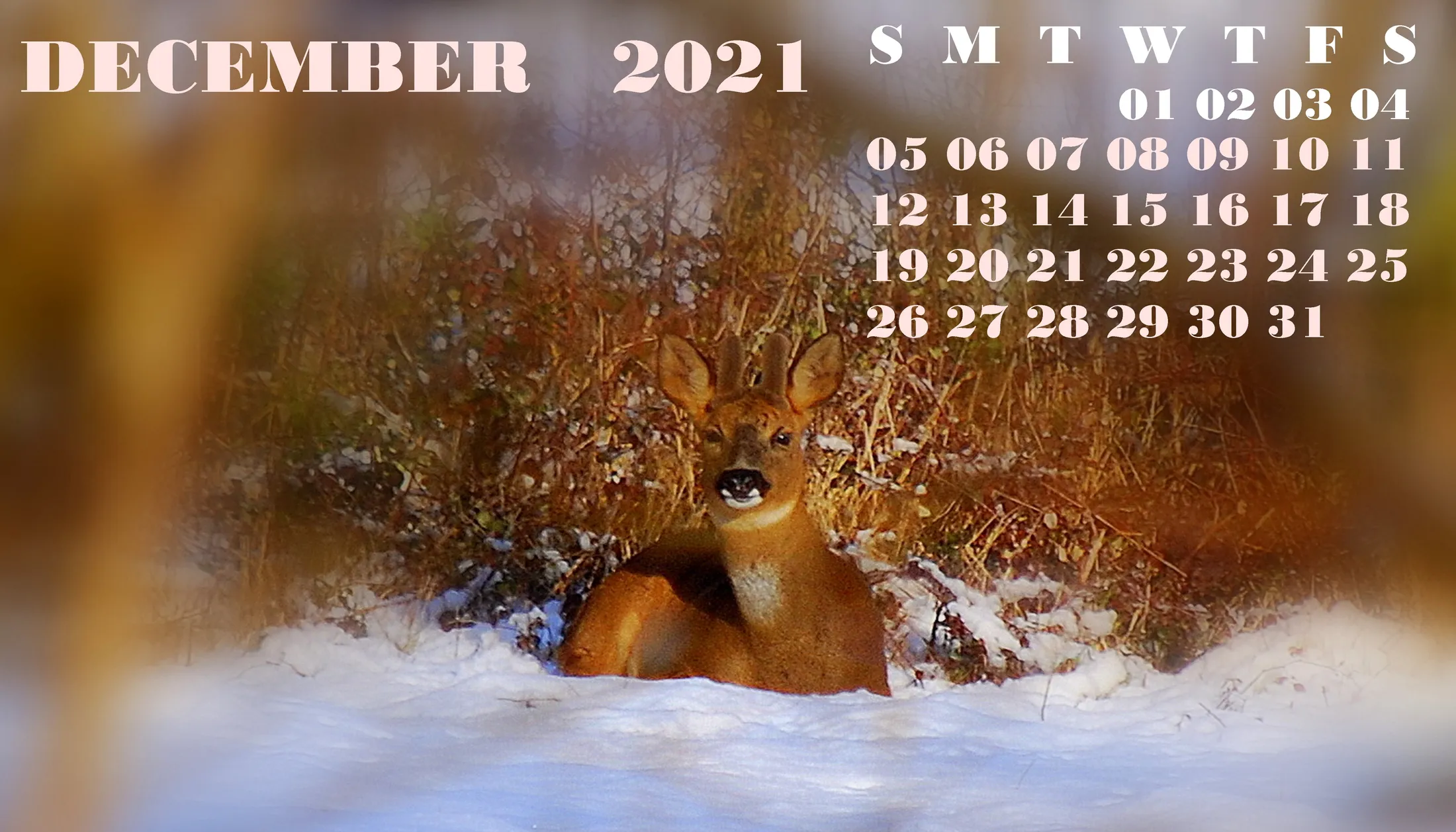Entry 8306589