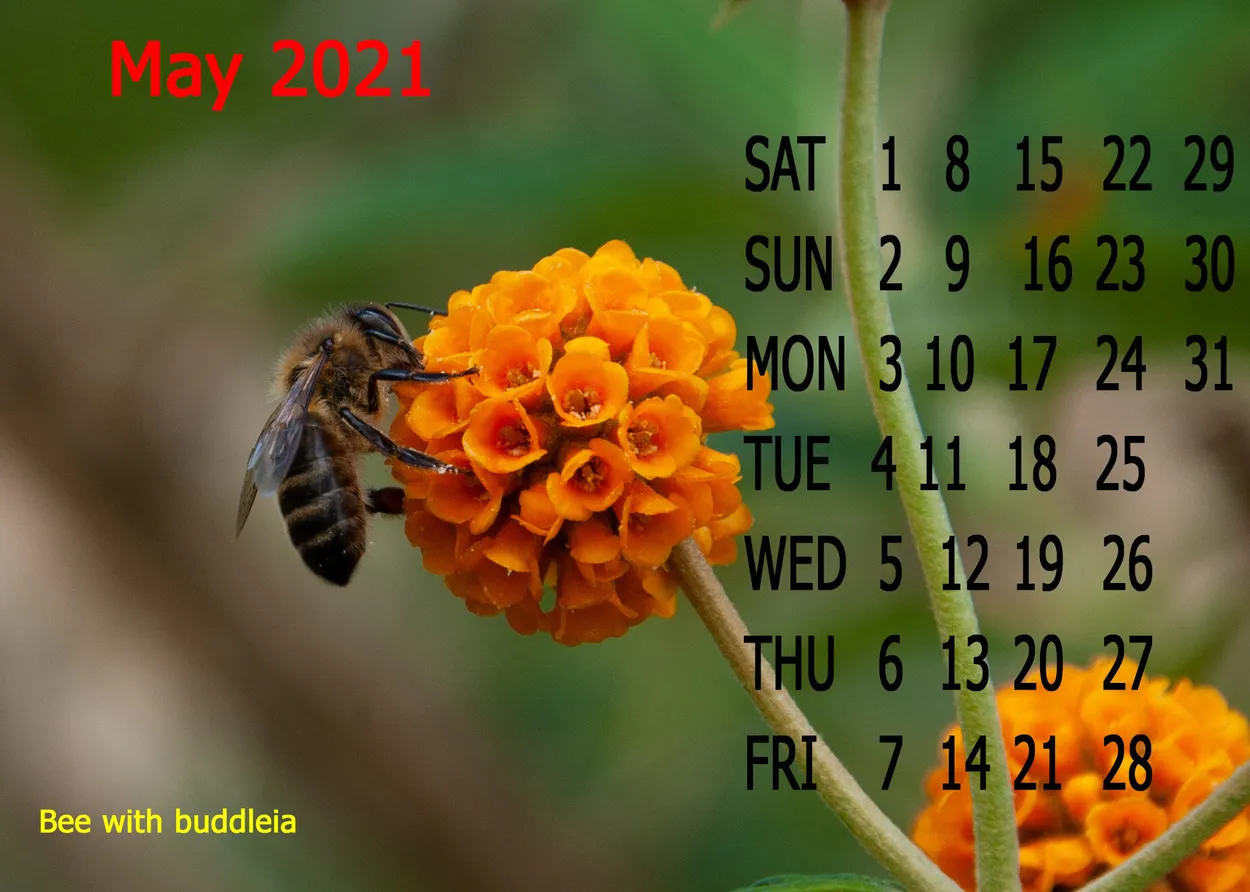 Entry 8308099