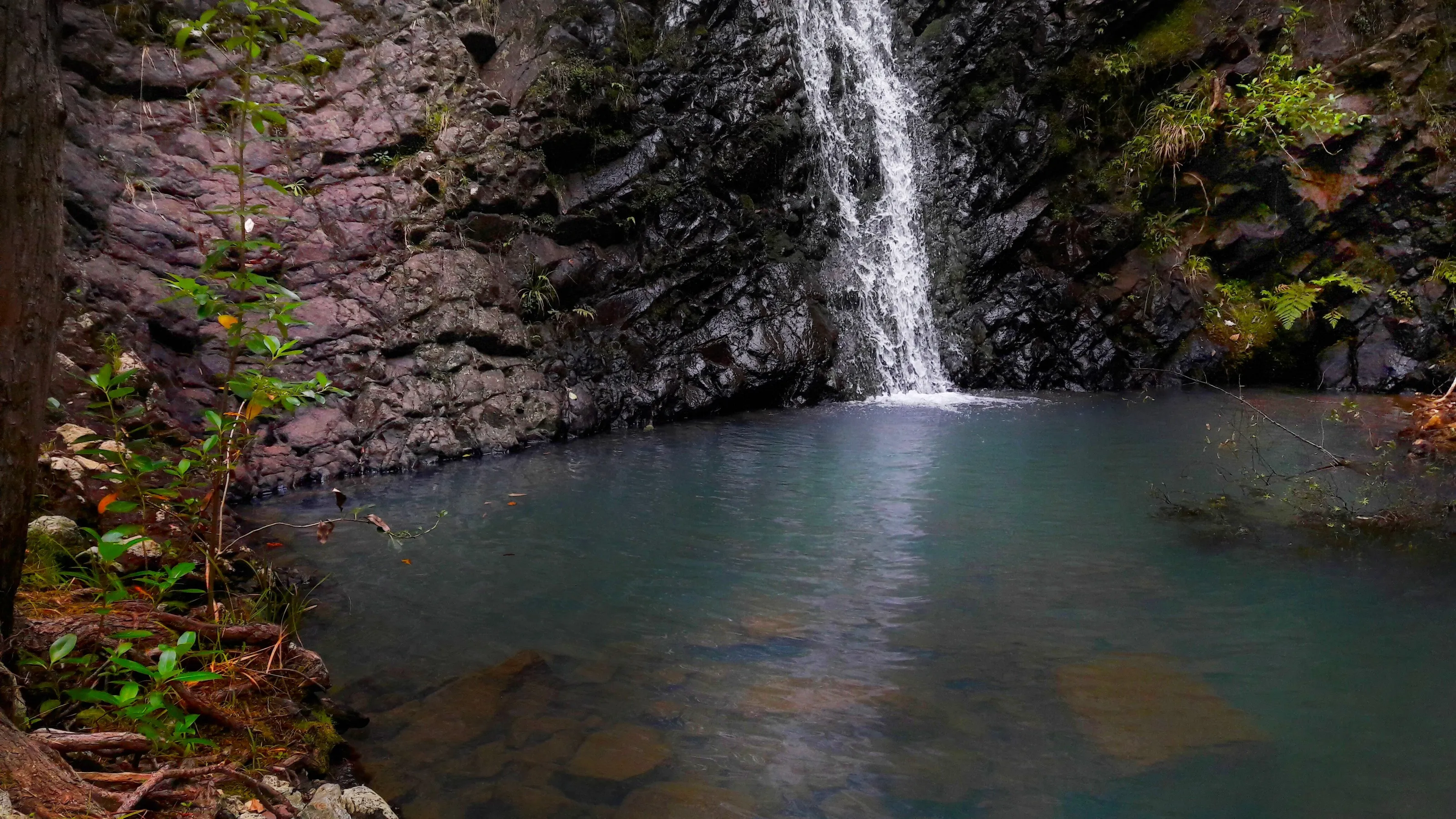 waterscape
