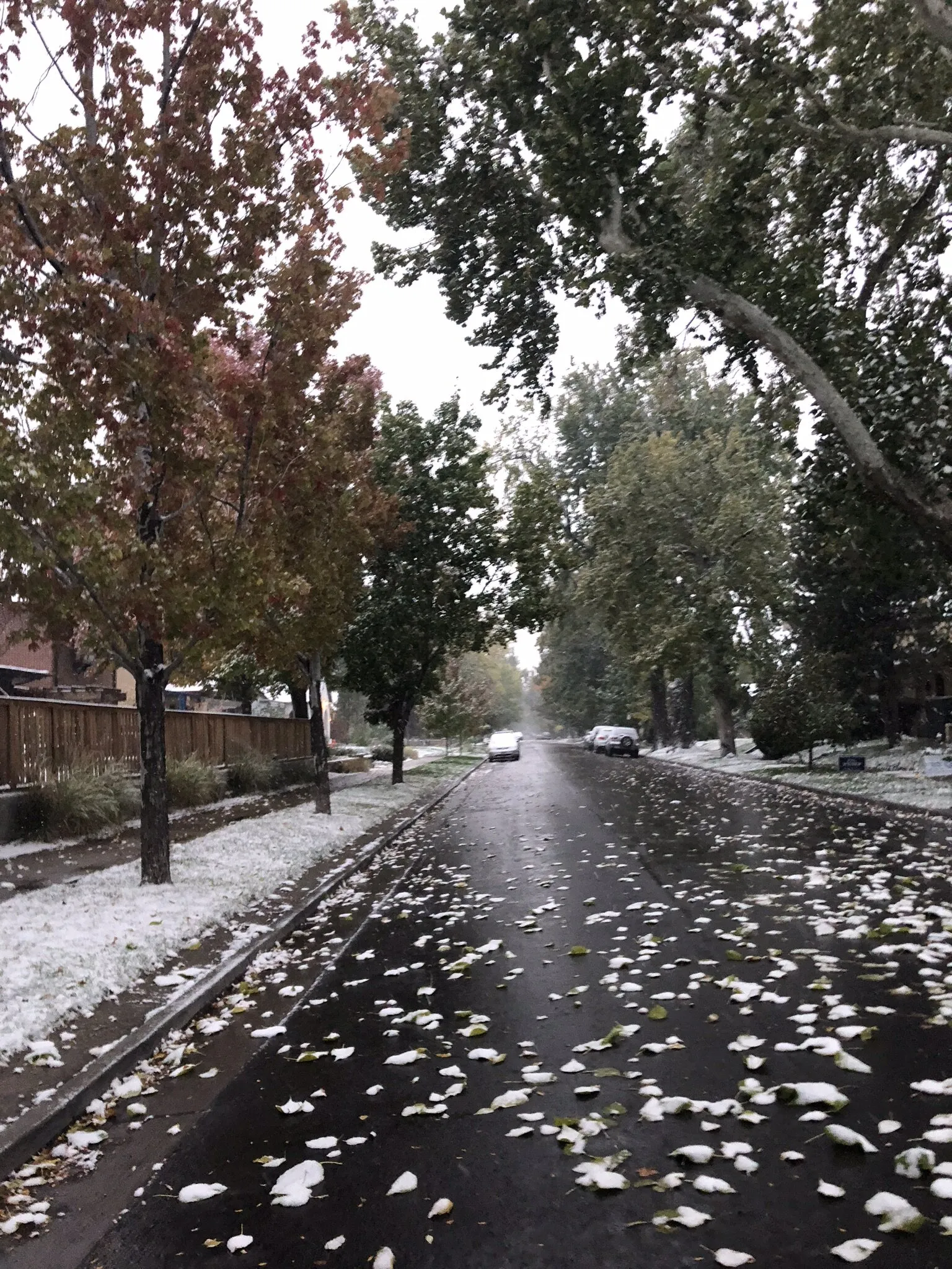 Winter street