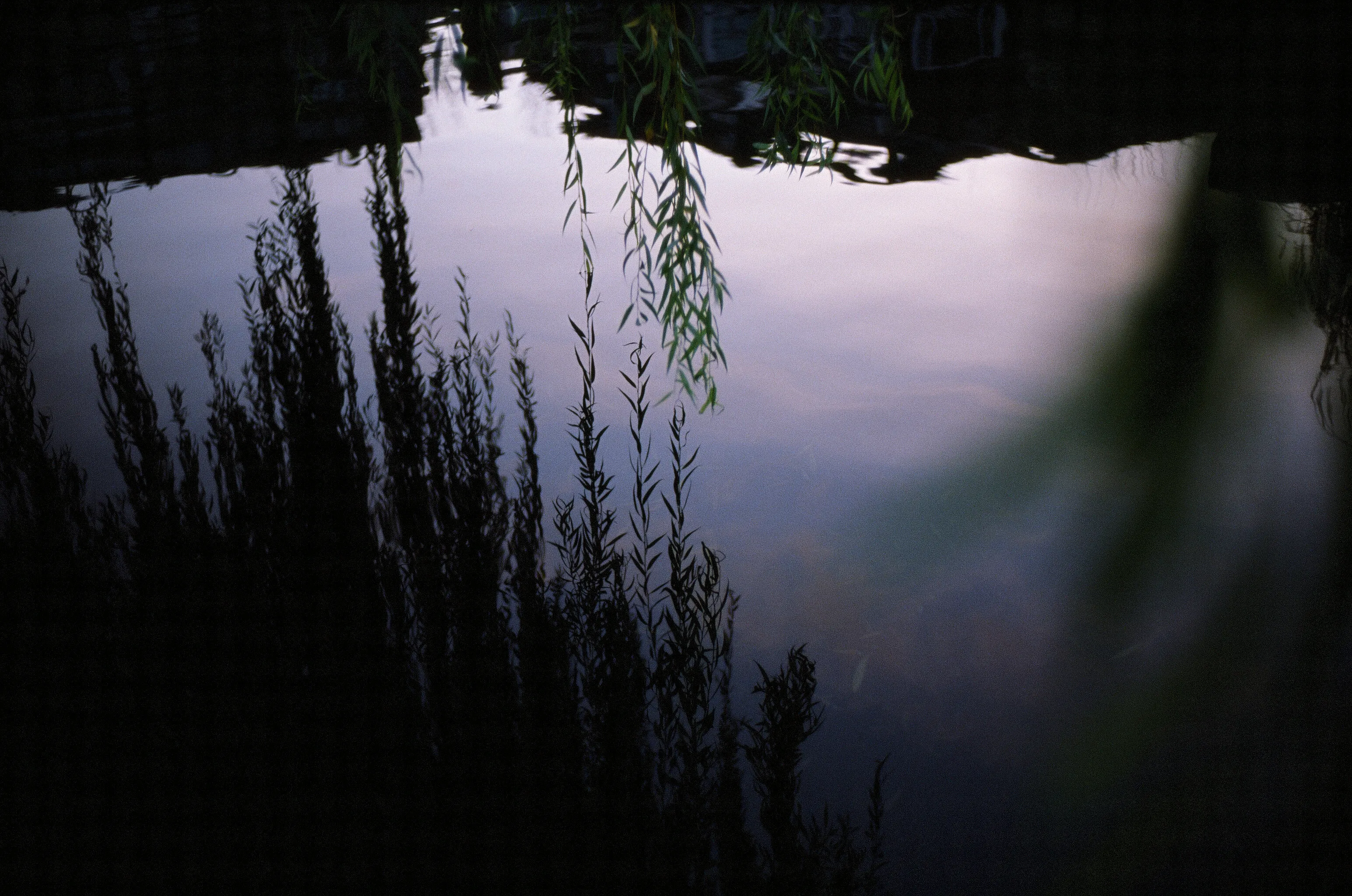 Evening Reflections