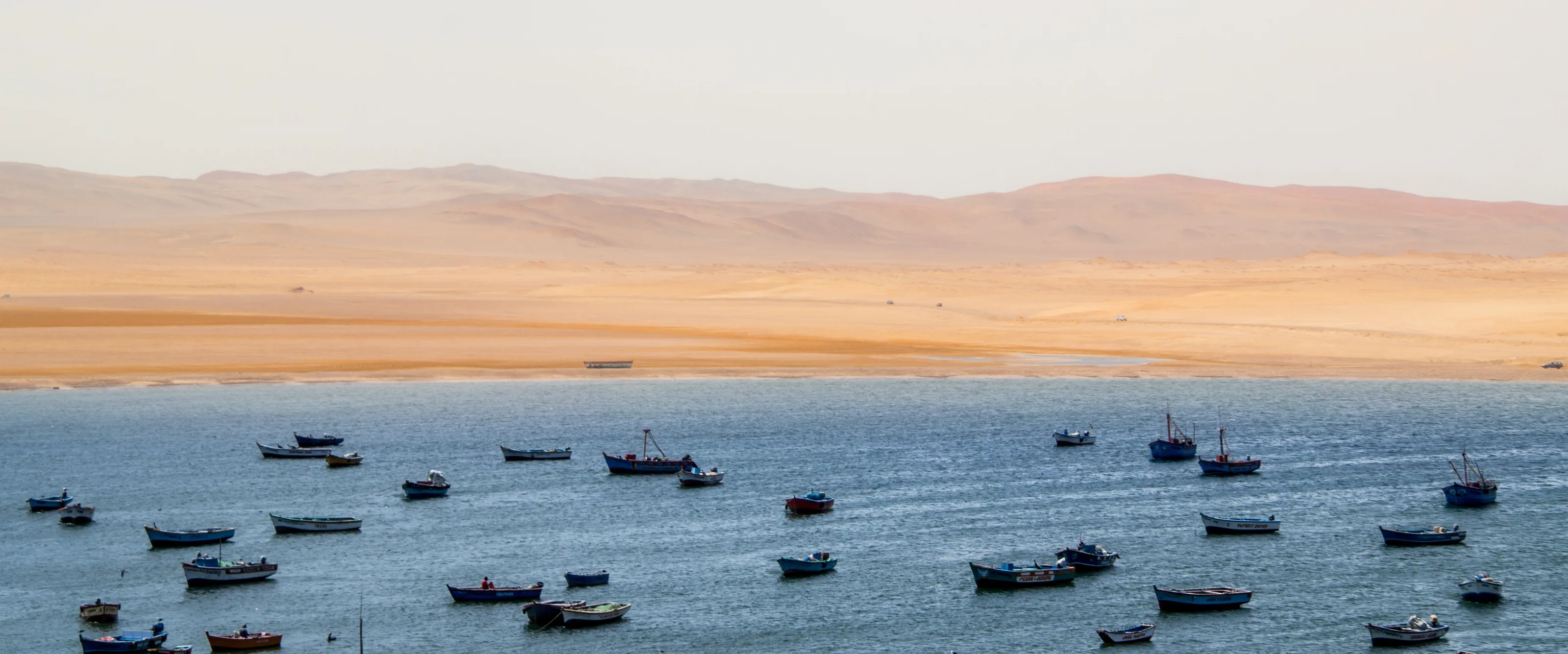 Where the desert meets the ocean