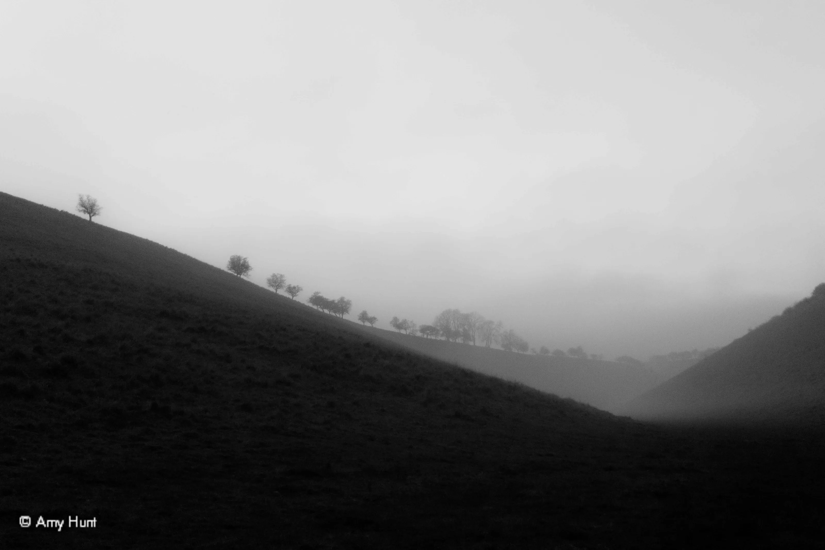 Mist in the dale