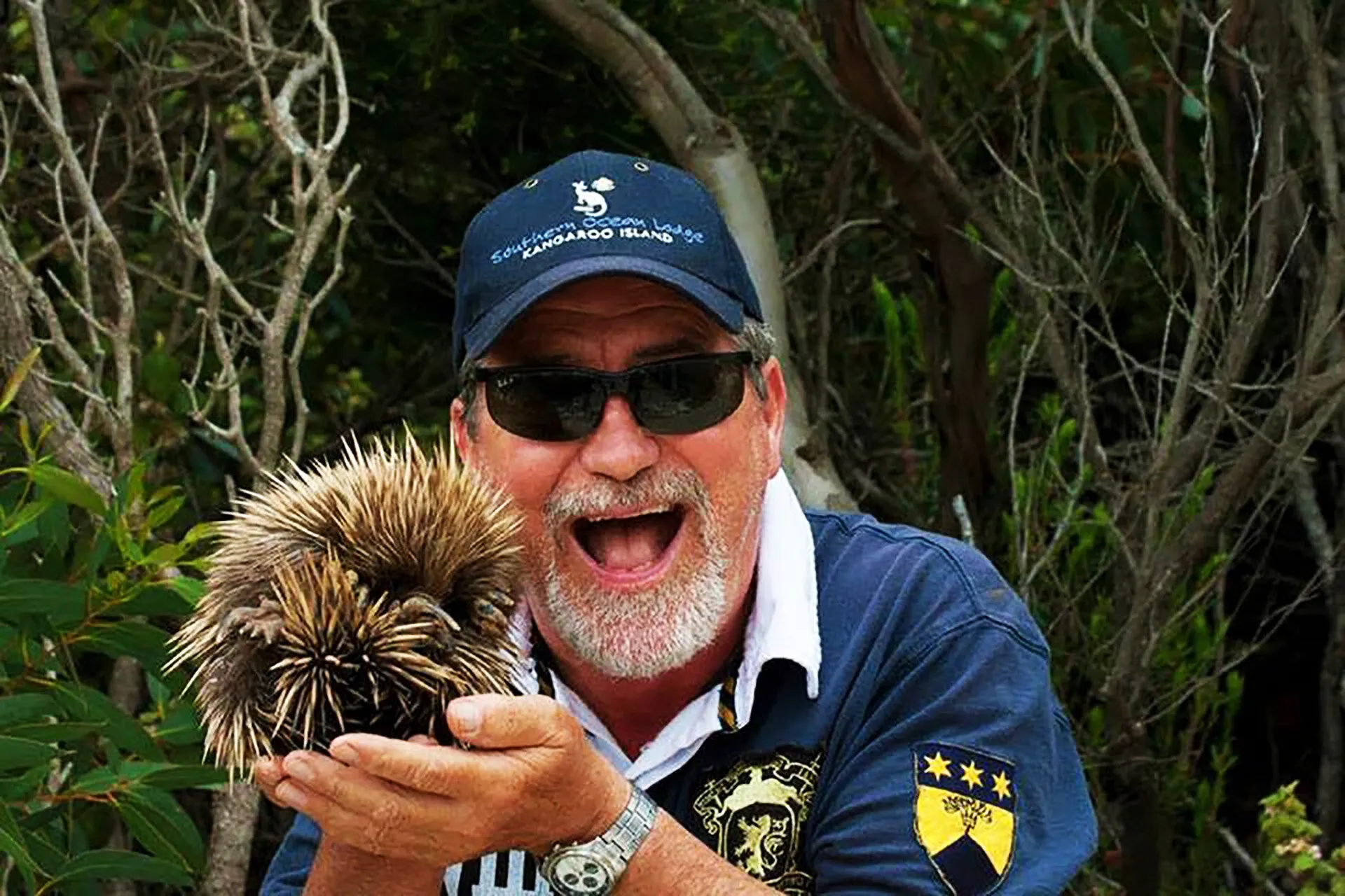 Kangaroo Island Echidna.