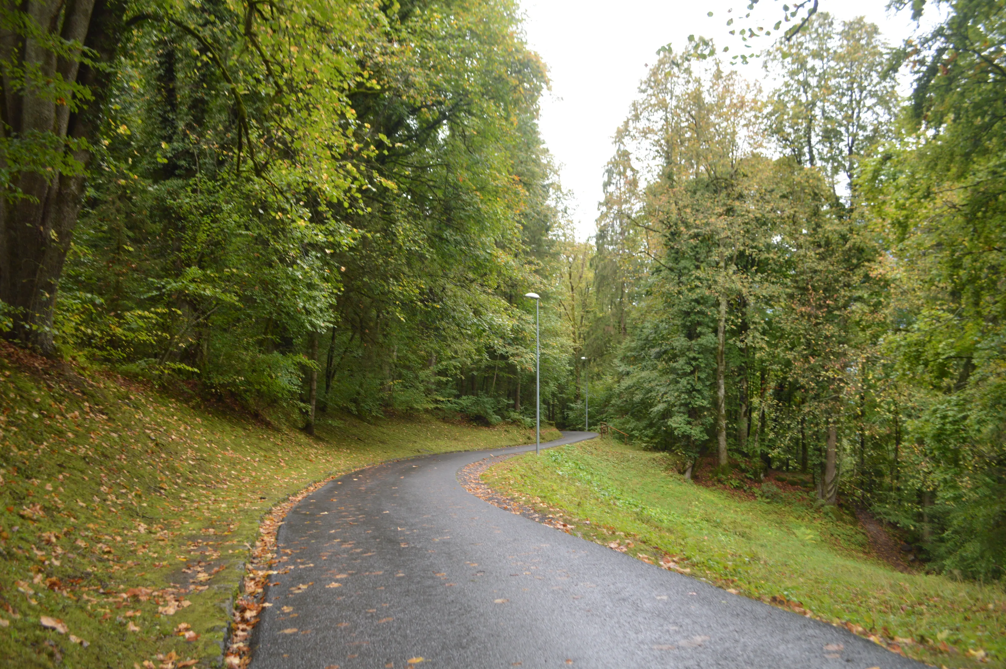 Nature's Drive-Thru