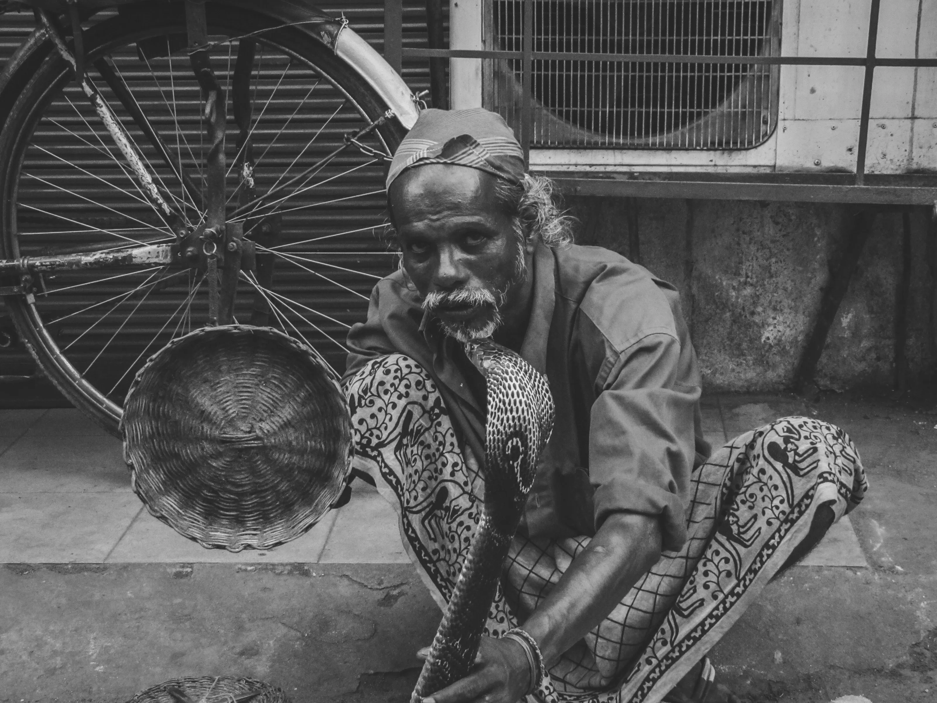 Anonymous Snake Charmer