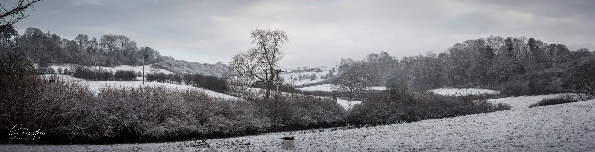 Snowy landscape