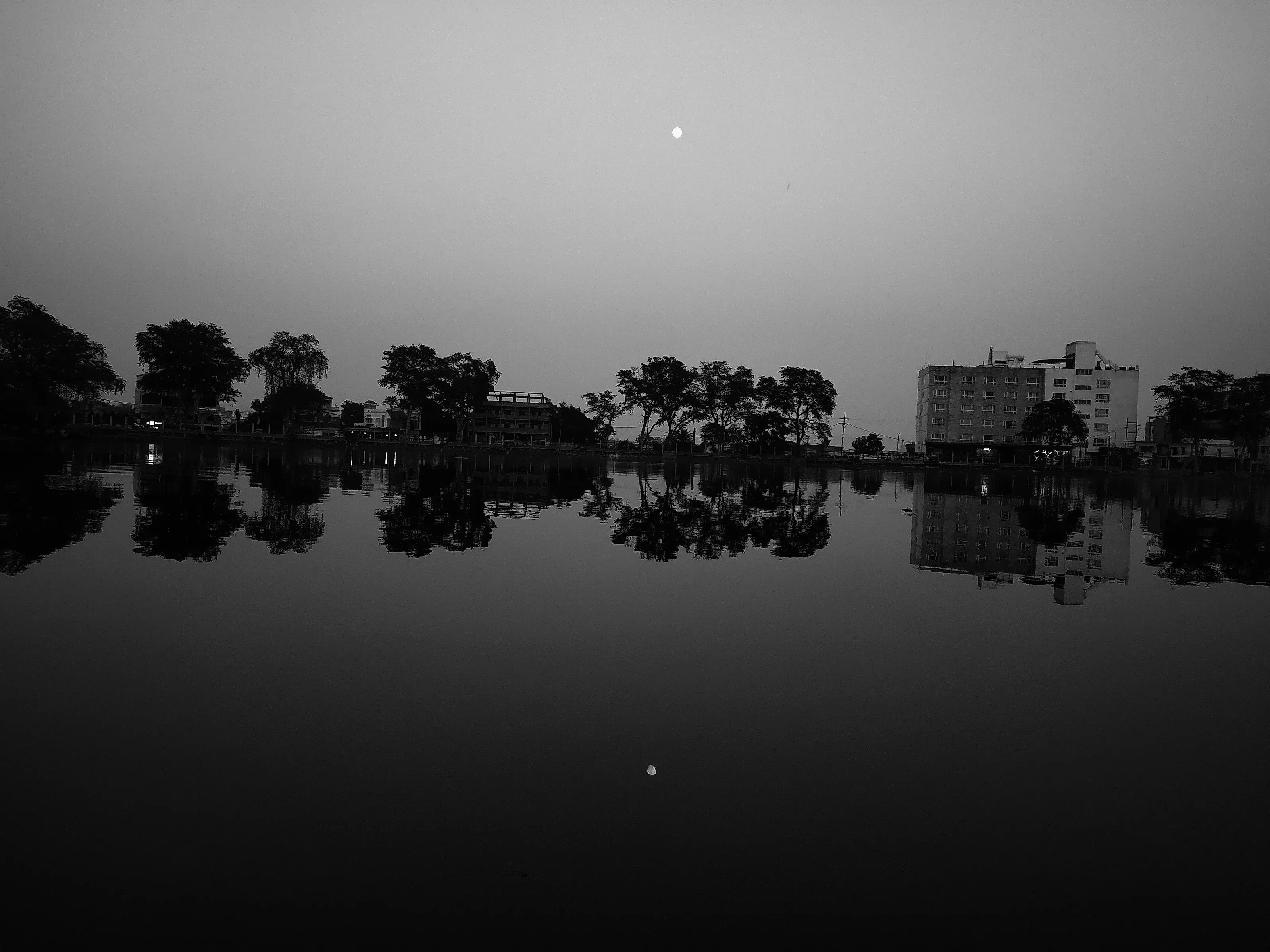 Reflection of Nature