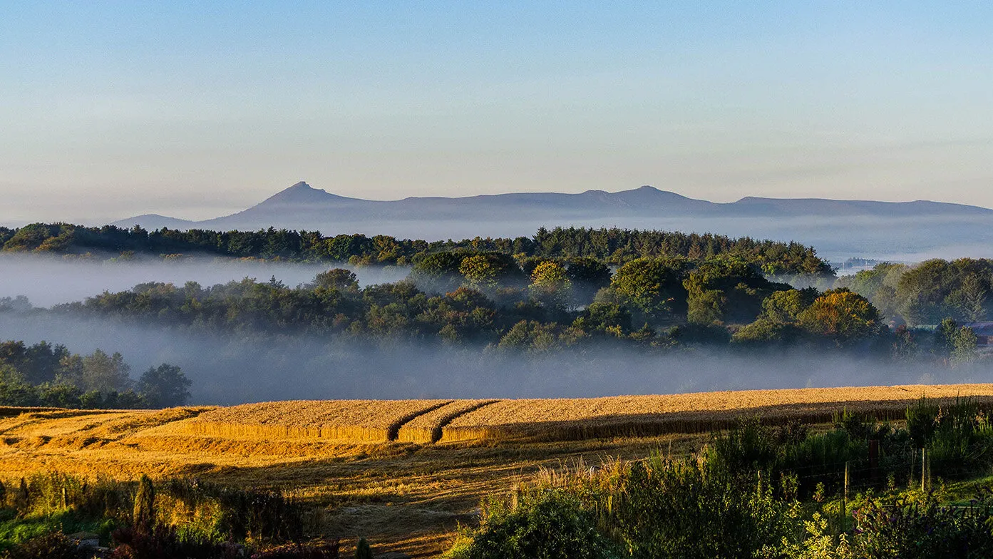Aberdeenshire Morning Mist